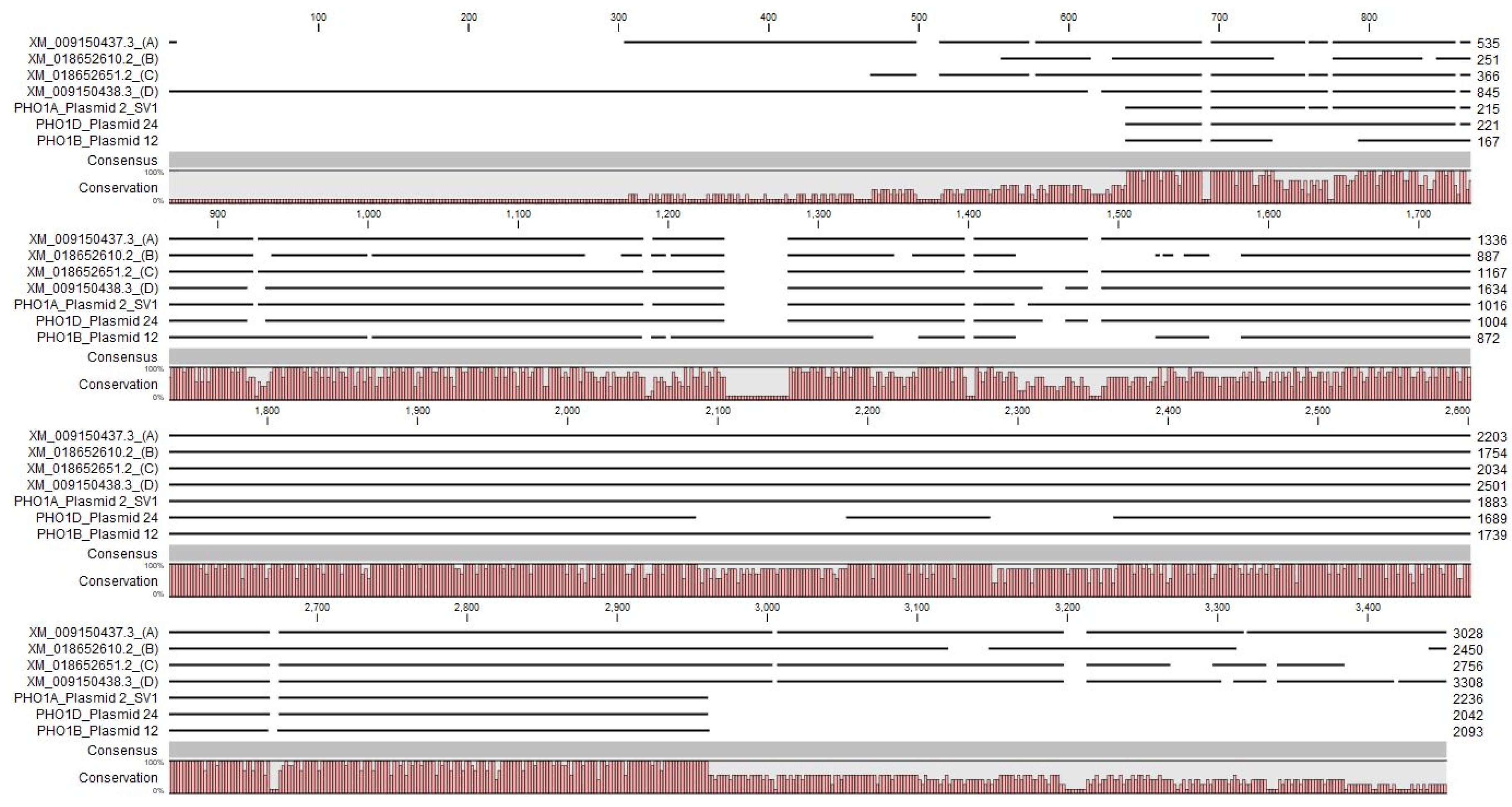 Horticulturae 09 00845 g007 Horticulturae 09 00845 g007