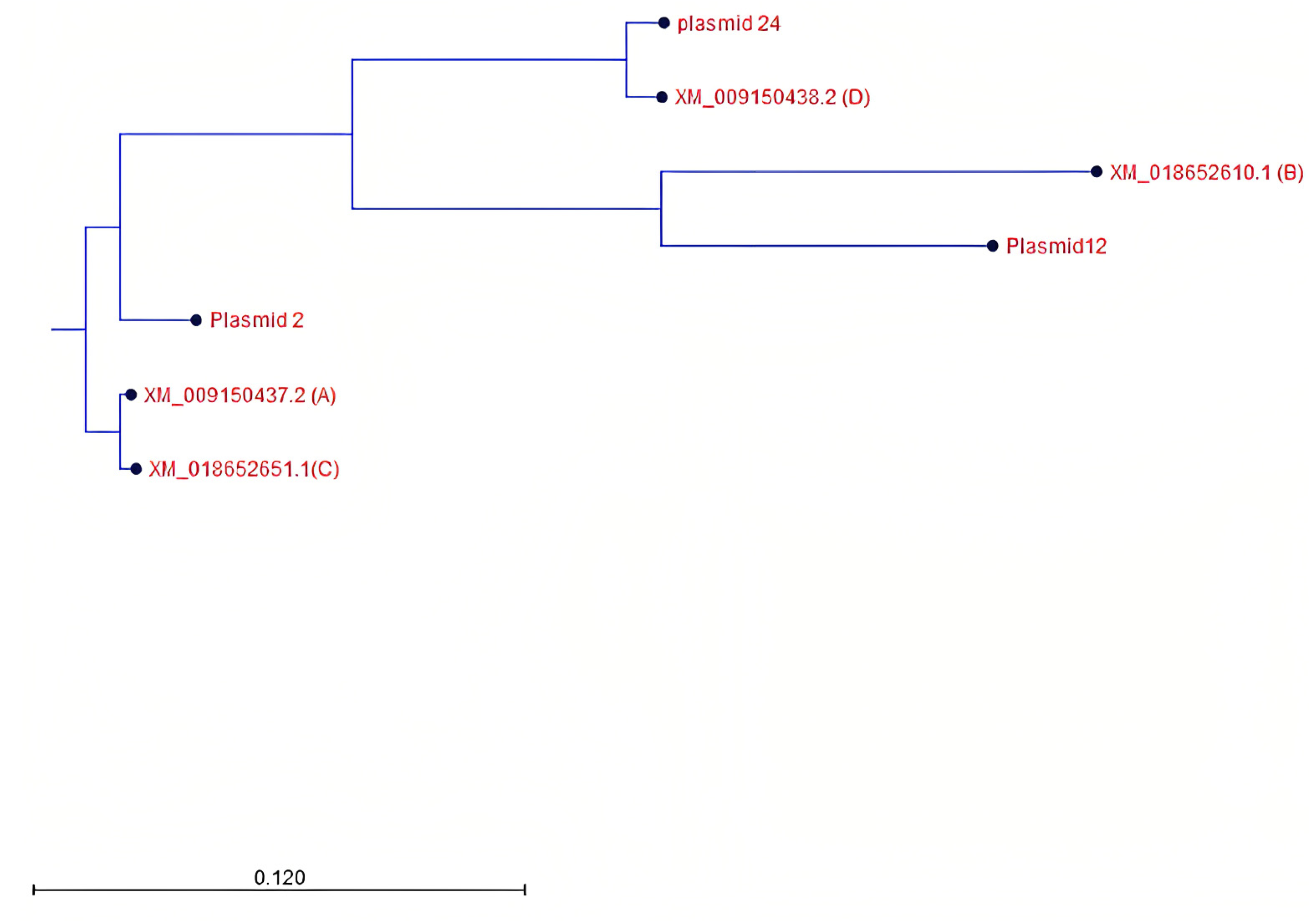 Horticulturae 09 00845 g008 Horticulturae 09 00845 g008