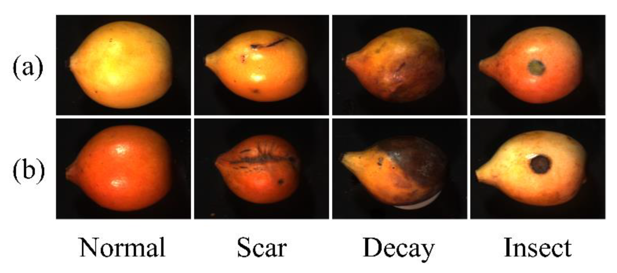 Horticulturae 09 00869 g001