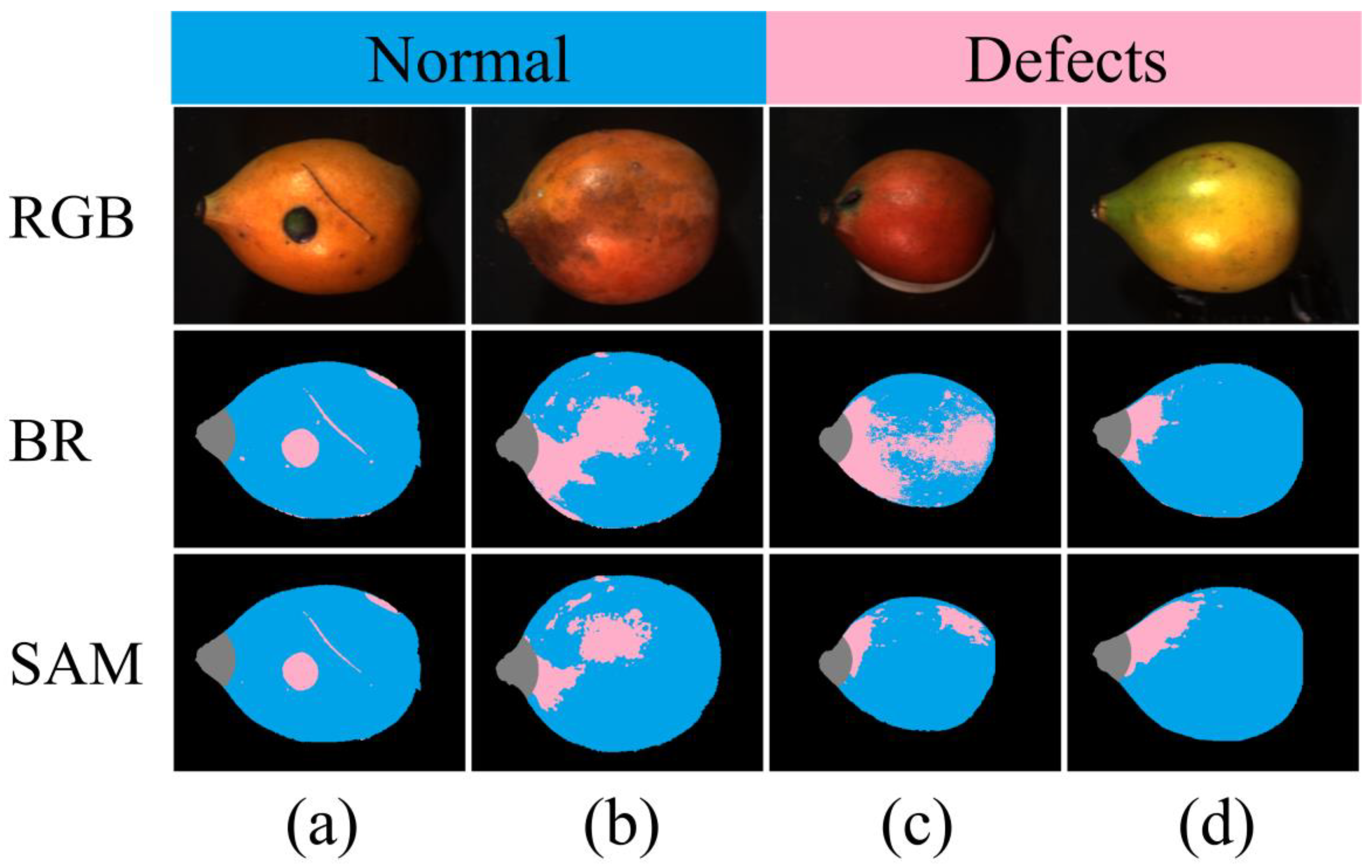 Horticulturae 09 00869 g004
