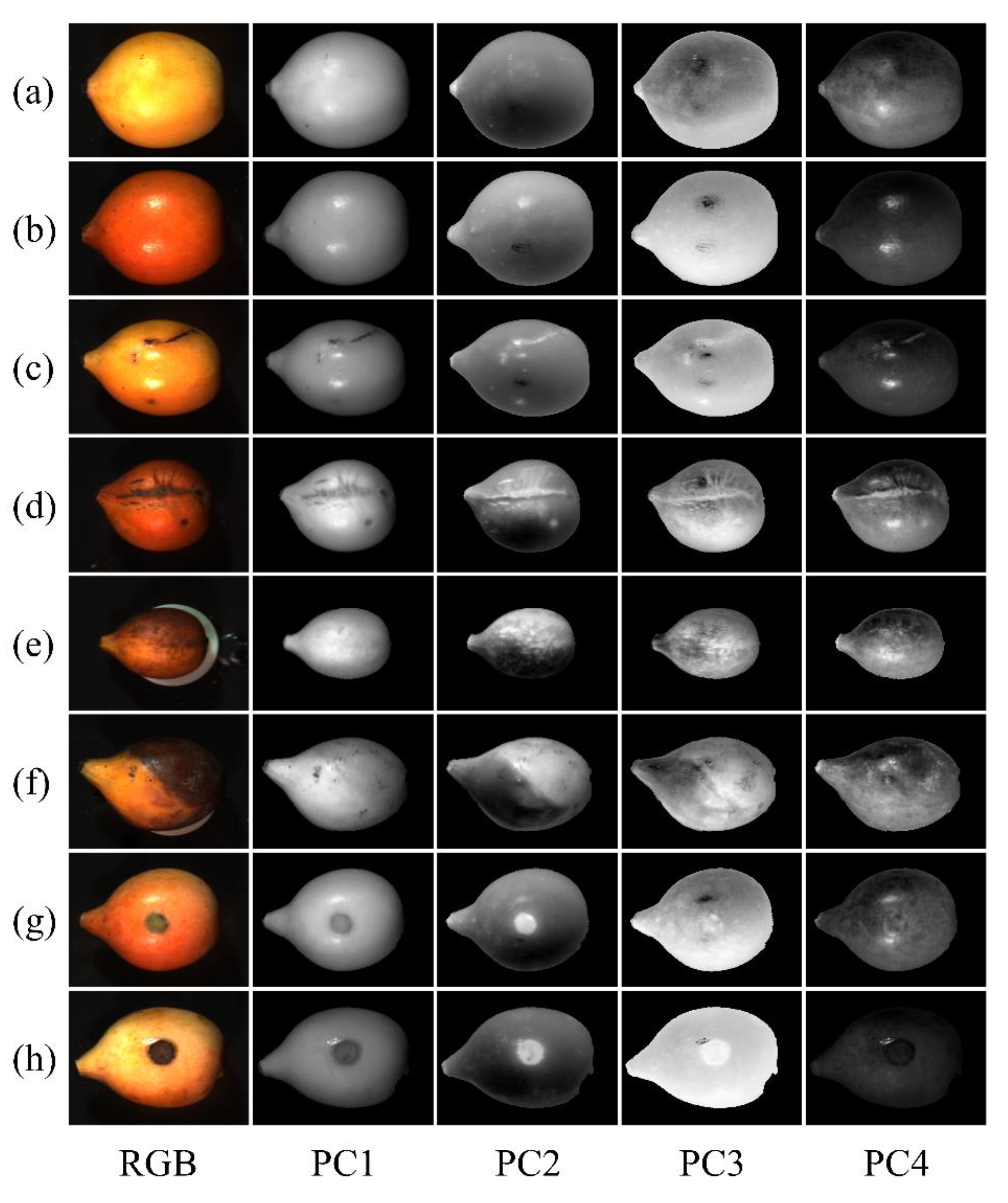 Horticulturae 09 00869 g006