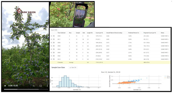 High Density Orchards Advance Apple Growing: Mountain Horticultural Crops  Research and Extension Center Tells How