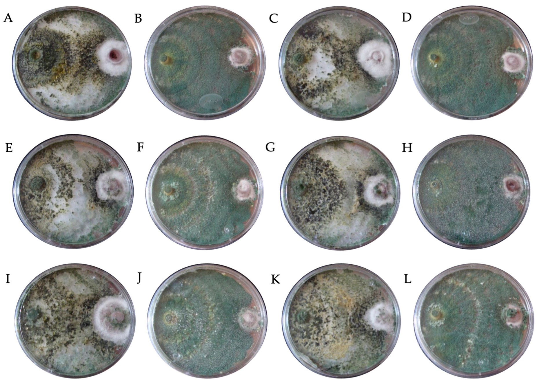Horticulturae 09 00905 g002