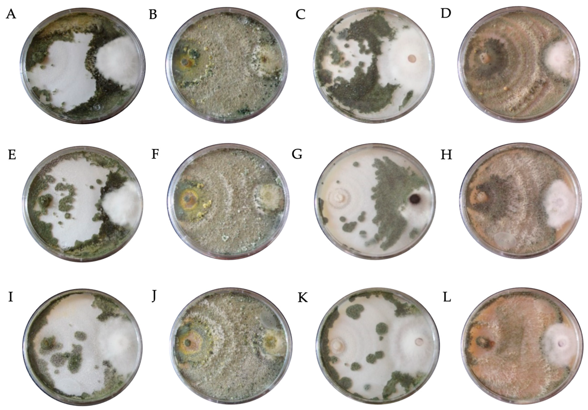 Horticulturae 09 00905 g003
