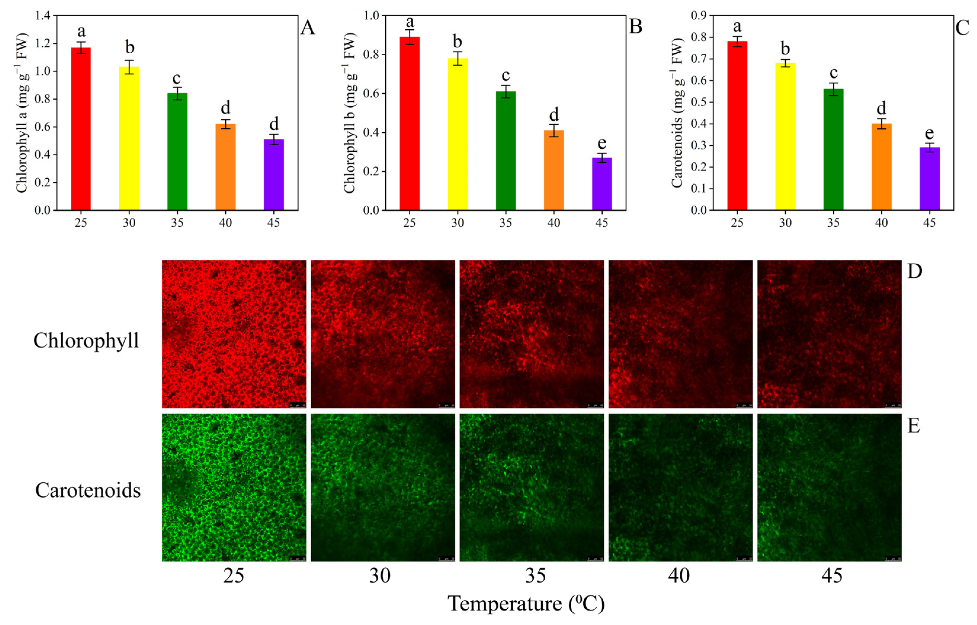 Horticulturae 09 00923 g004