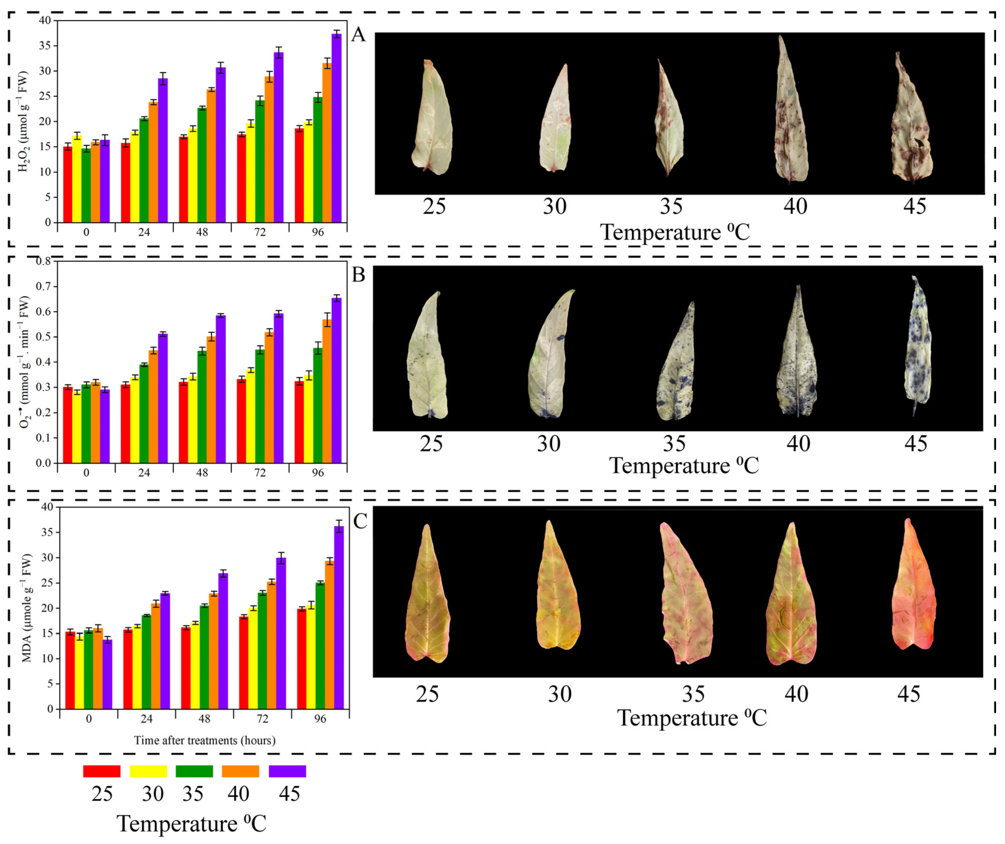 Horticulturae 09 00923 g009