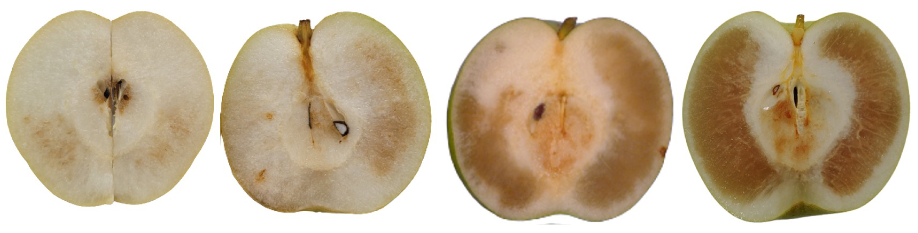 Horticulturae 09 00944 g003