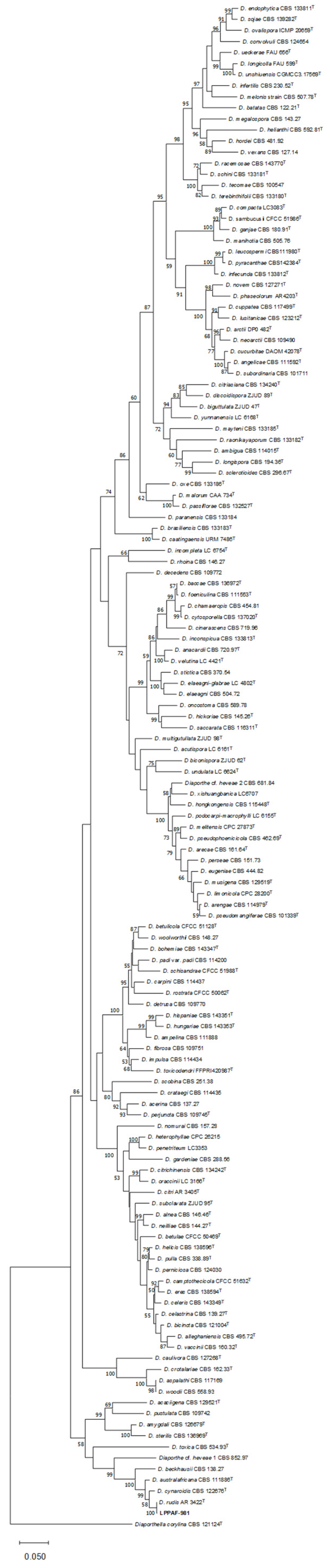Horticulturae 09 00965 g004