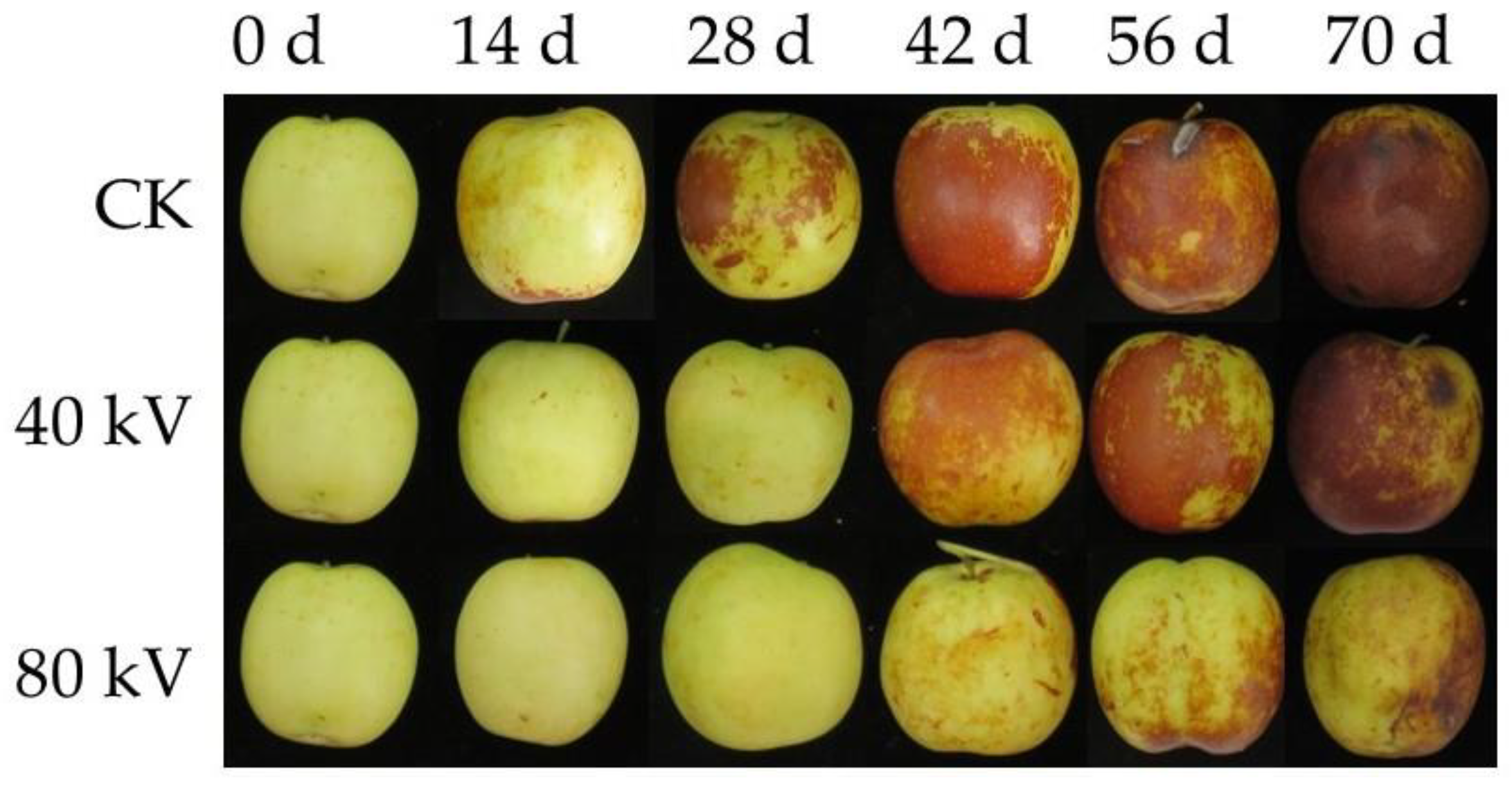 research article on ziziphus jujuba