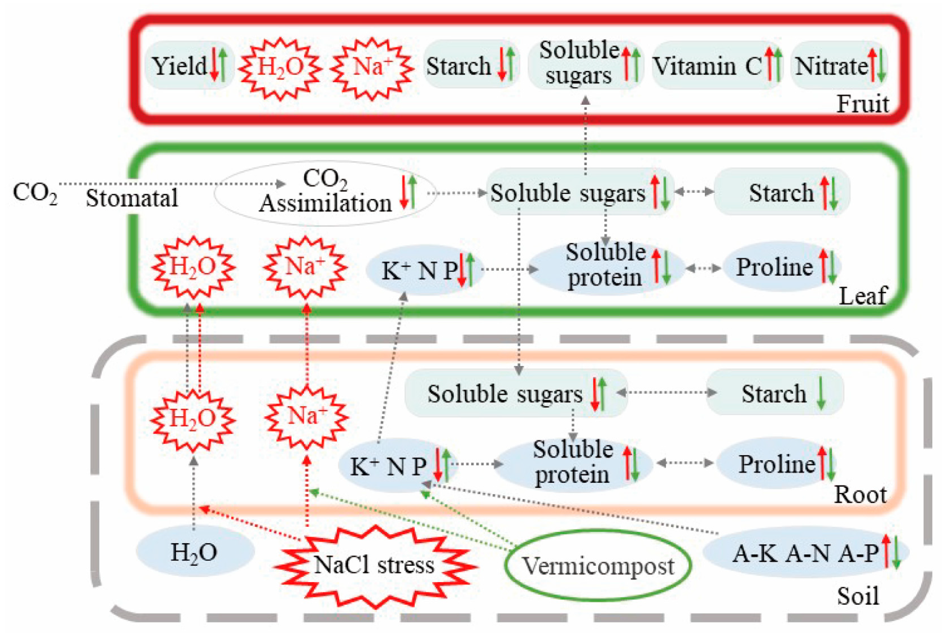 Horticulturae 09 01015 g010