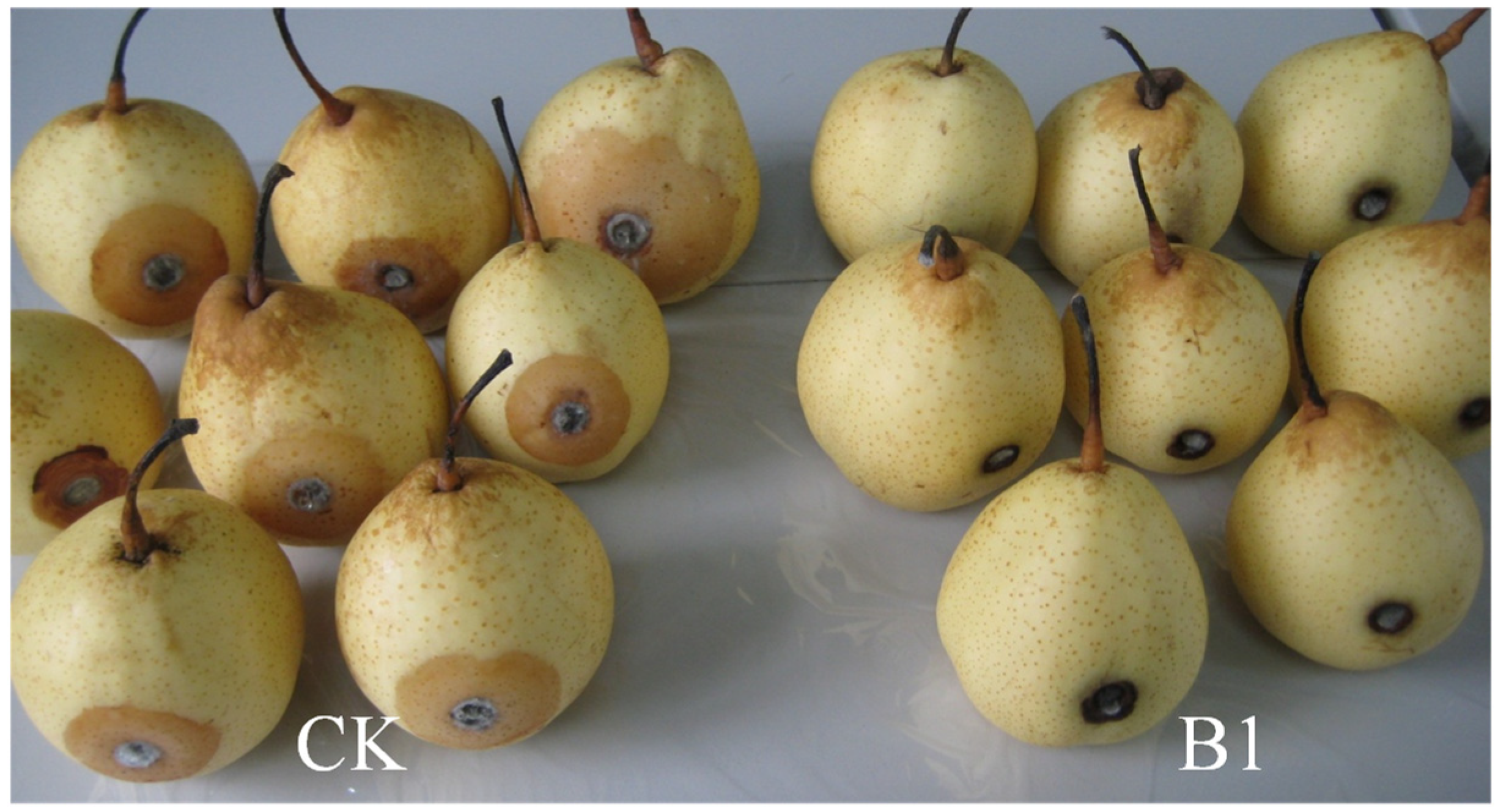 Horticulturae 09 01049 g004