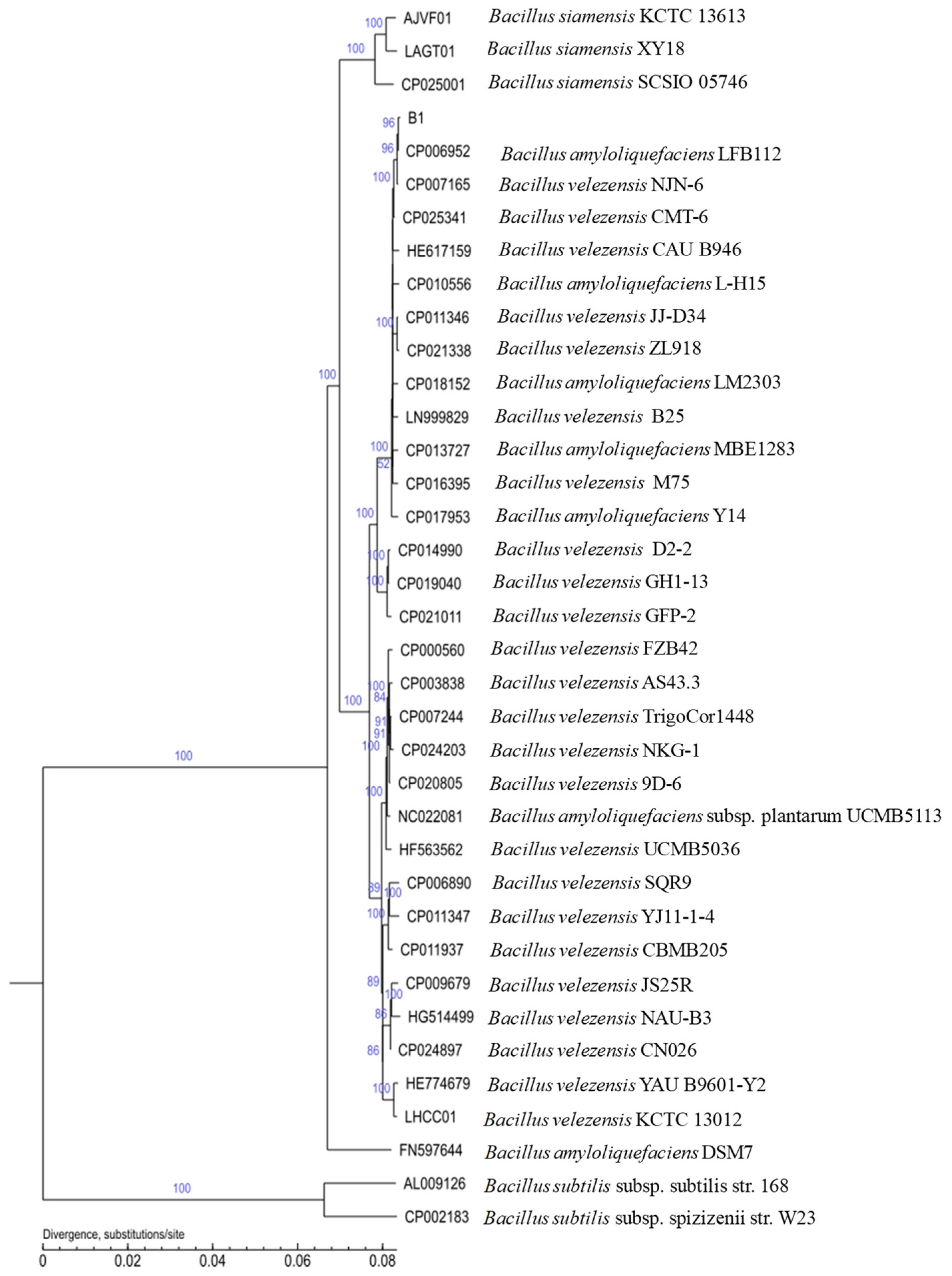 Horticulturae 09 01049 g005