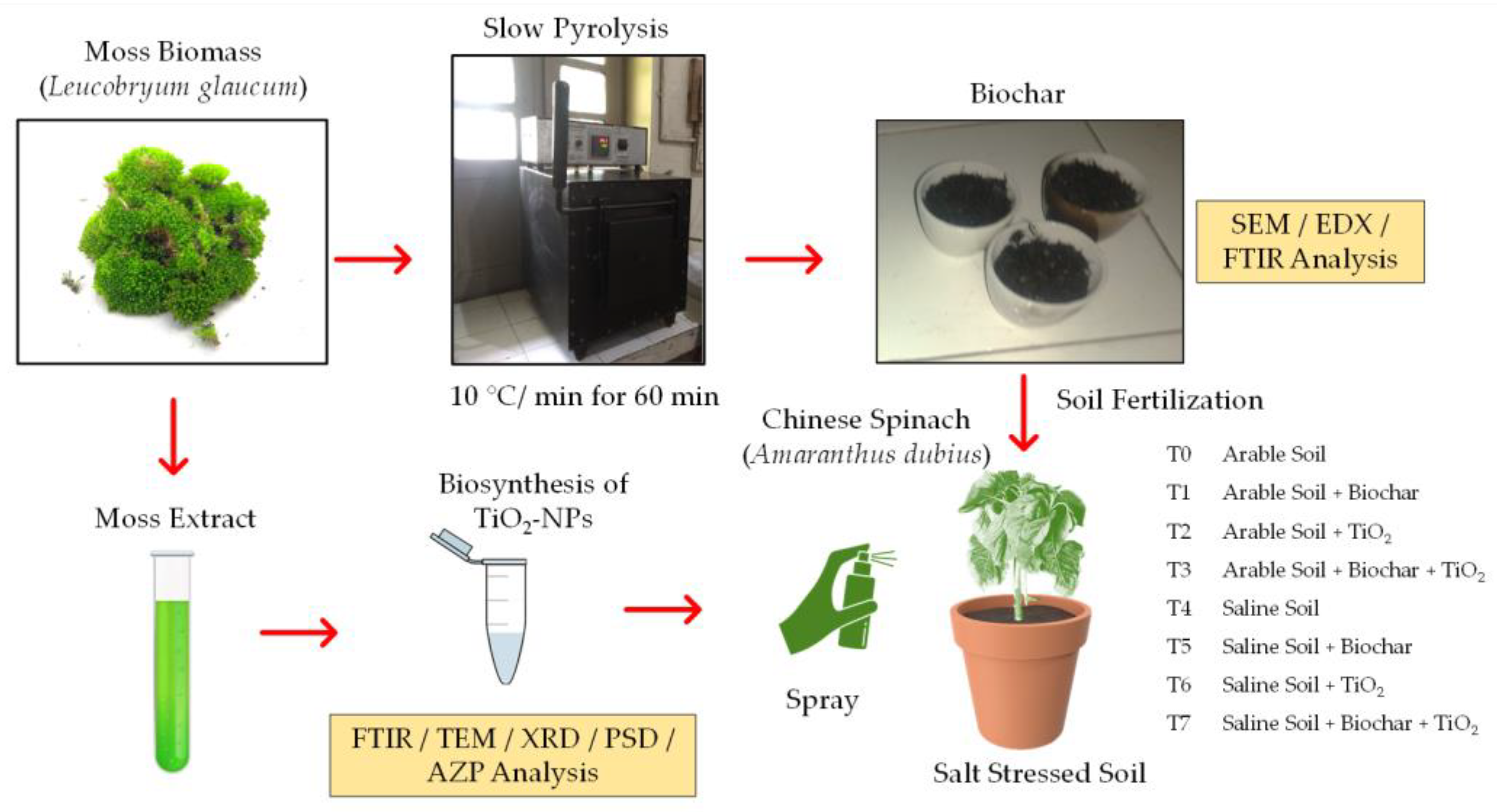 Moss Industrial South Africa, Buy Moss Industrial Online