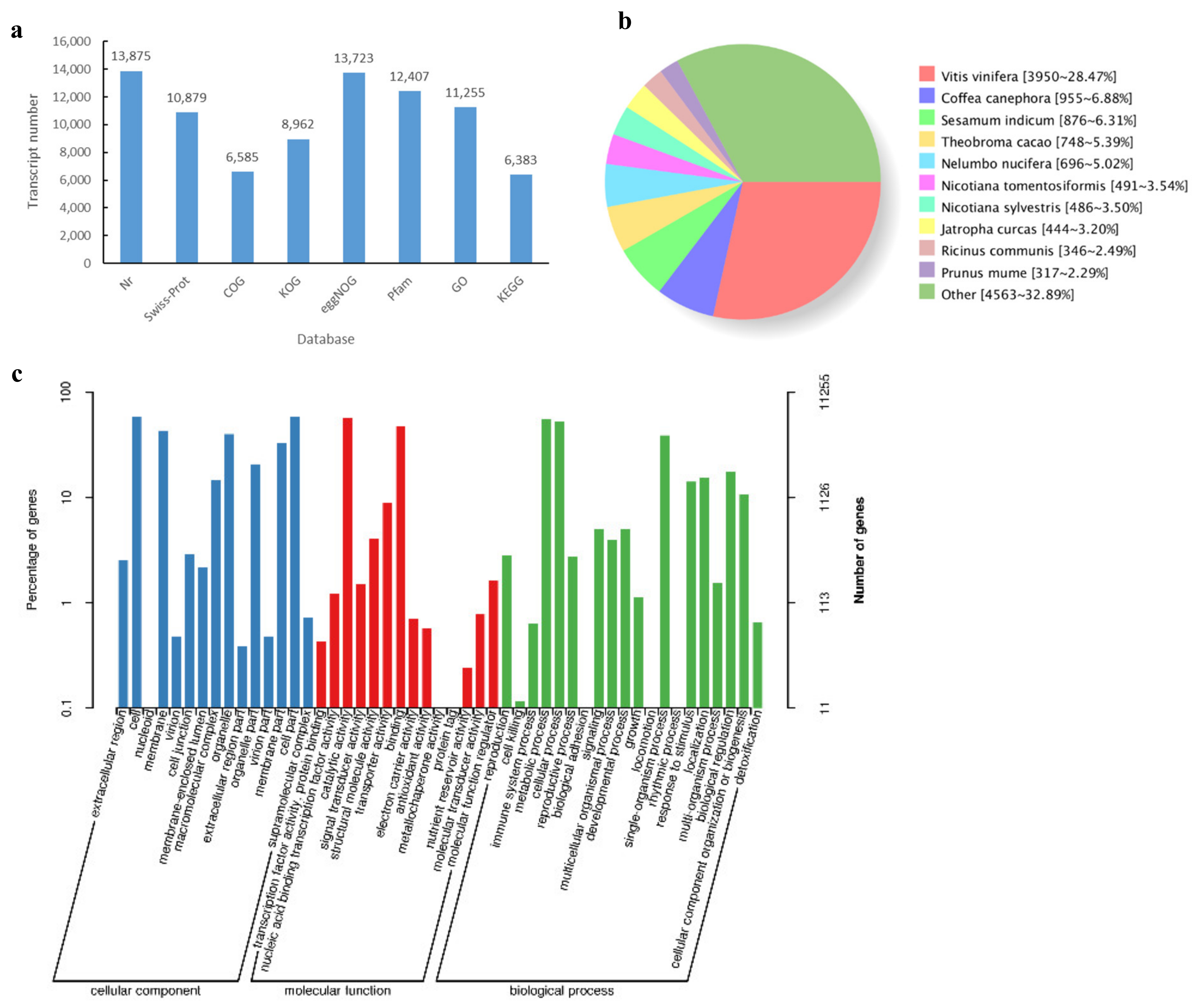 Horticulturae 09 01071 g005