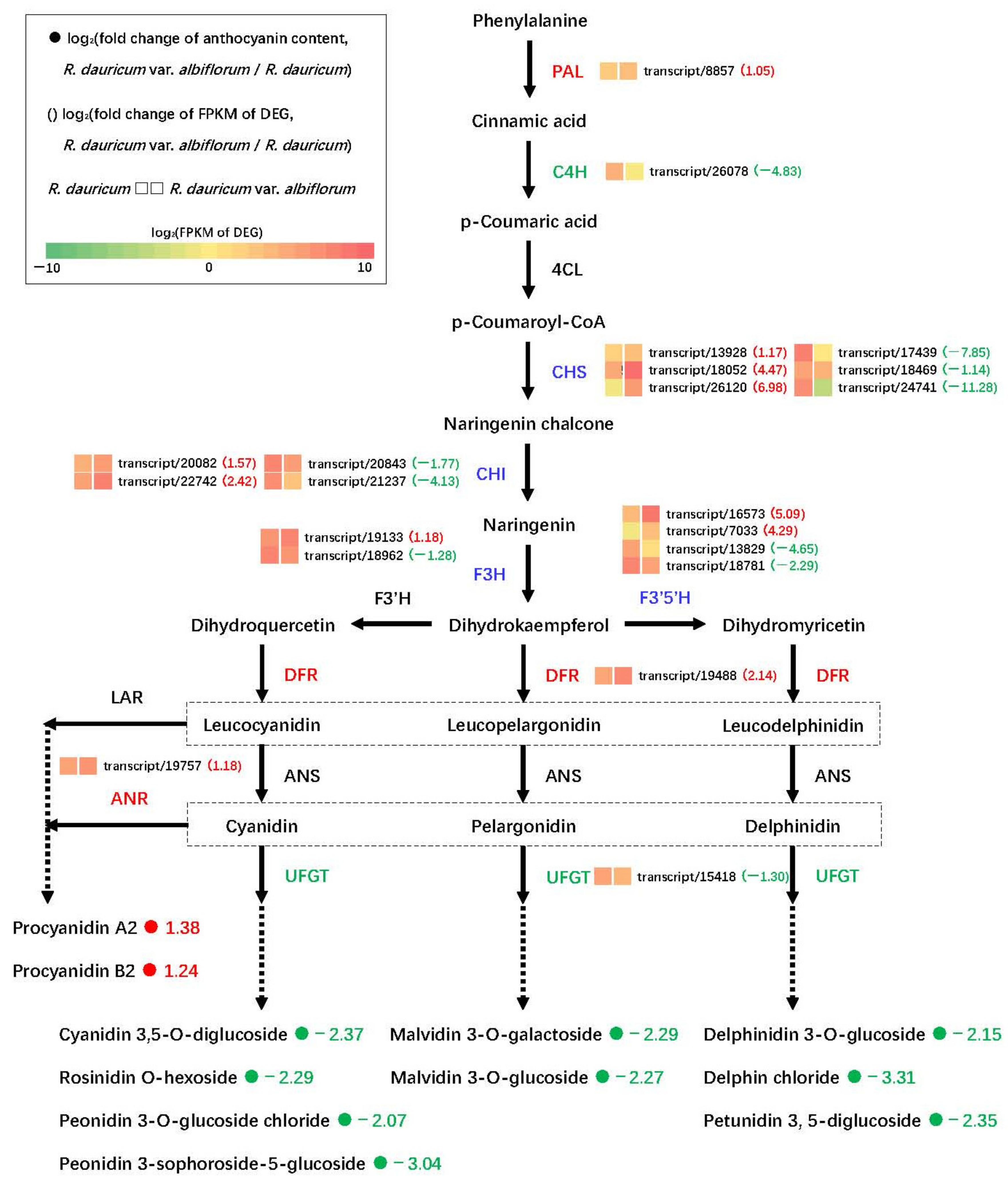 Horticulturae 09 01071 g008