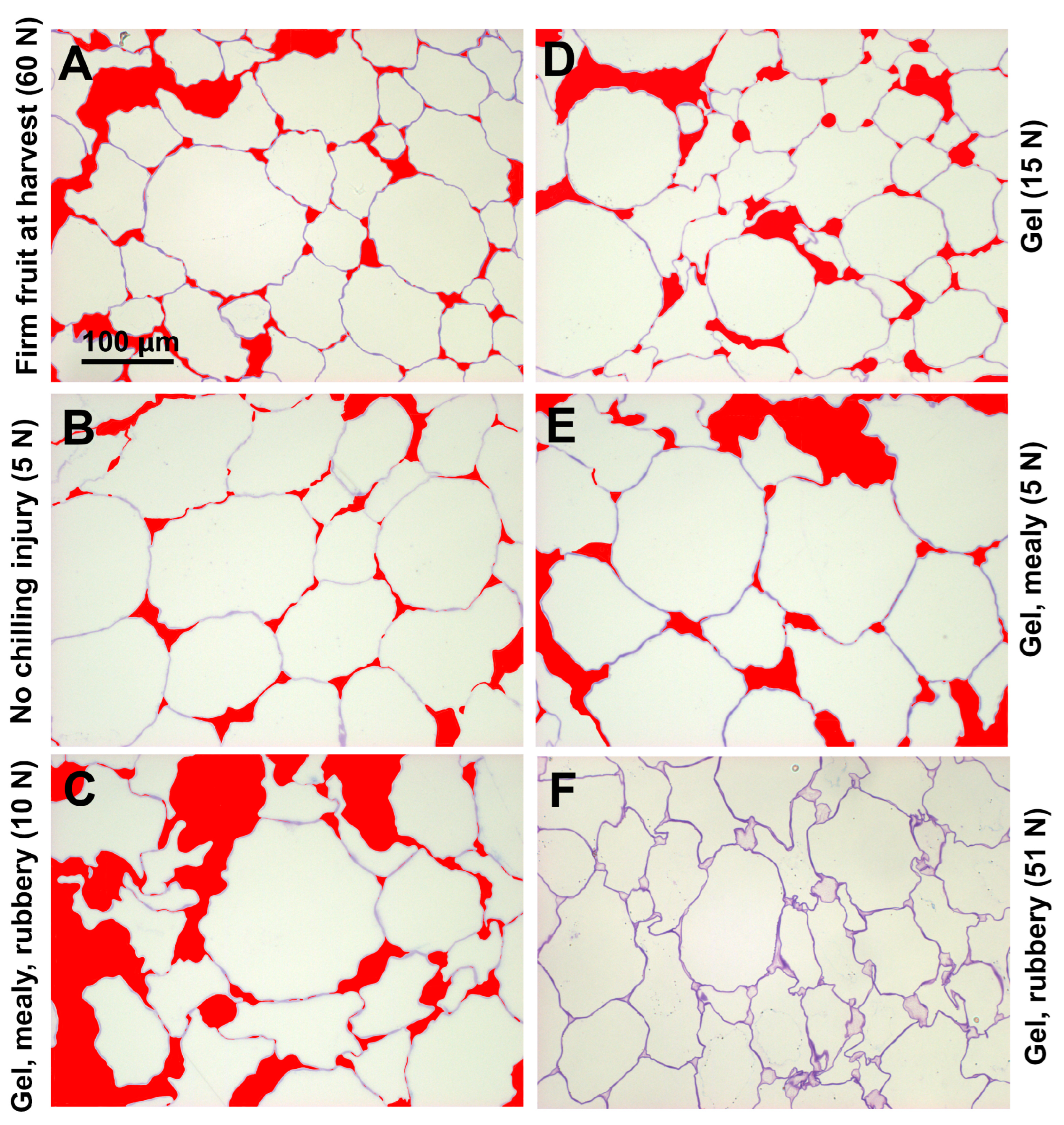 Horticulturae 09 01115 g003