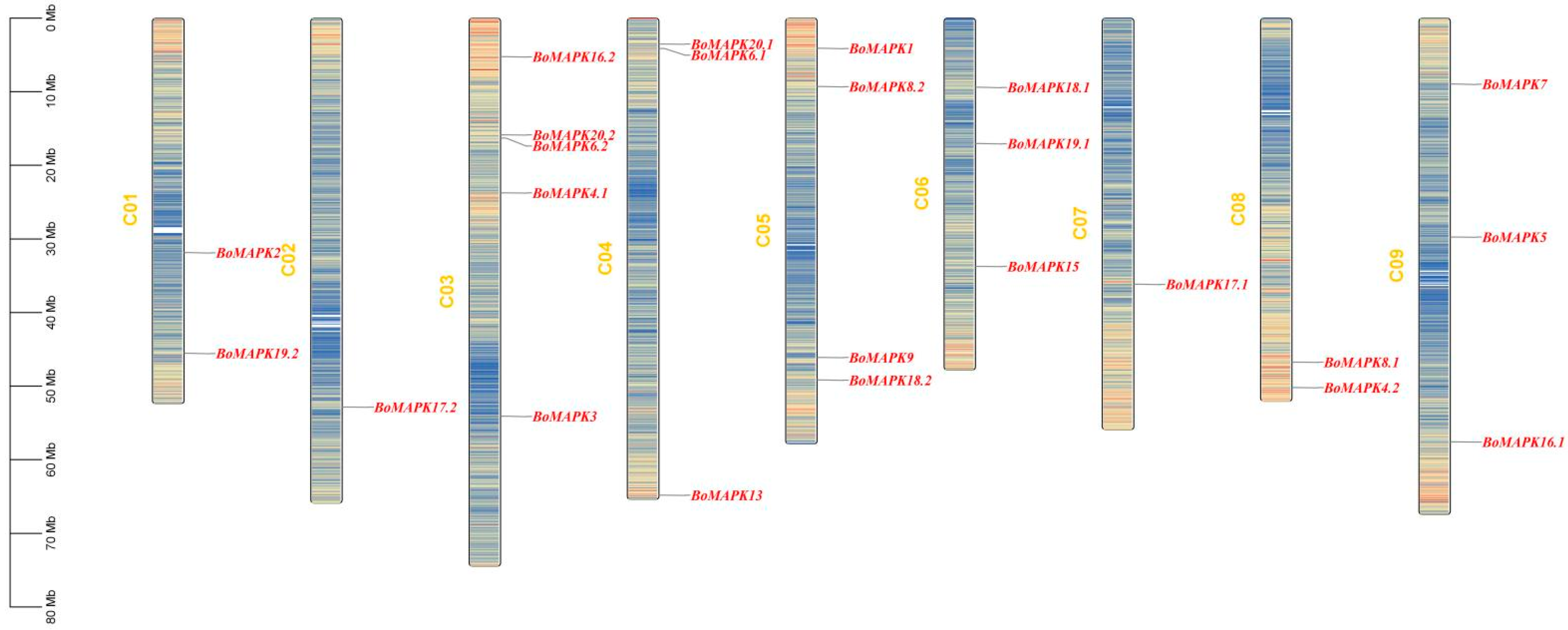 Horticulturae 09 01119 g003