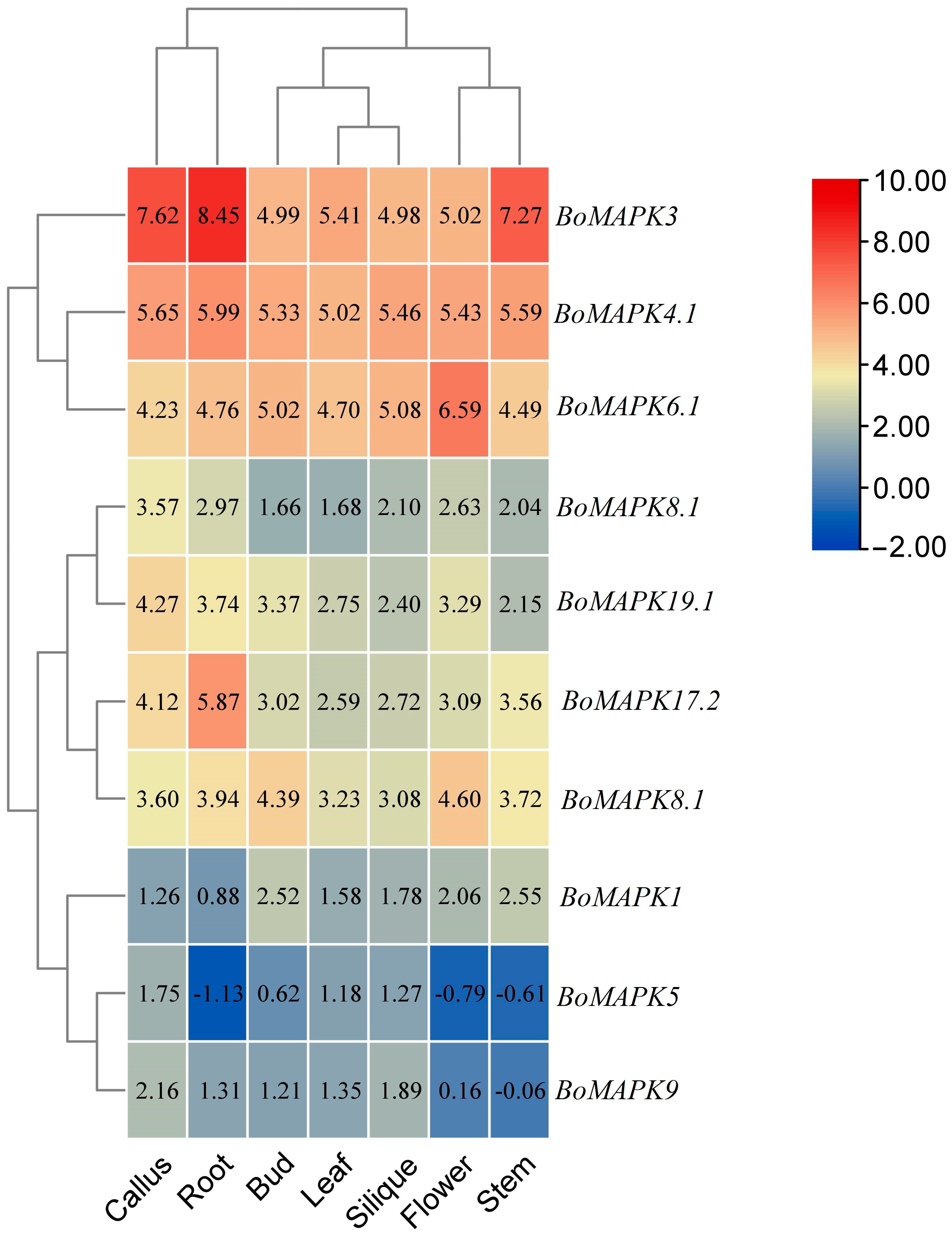 Horticulturae 09 01119 g007