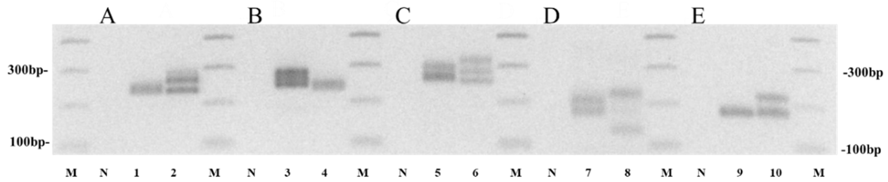 Horticulturae 09 01123 g005