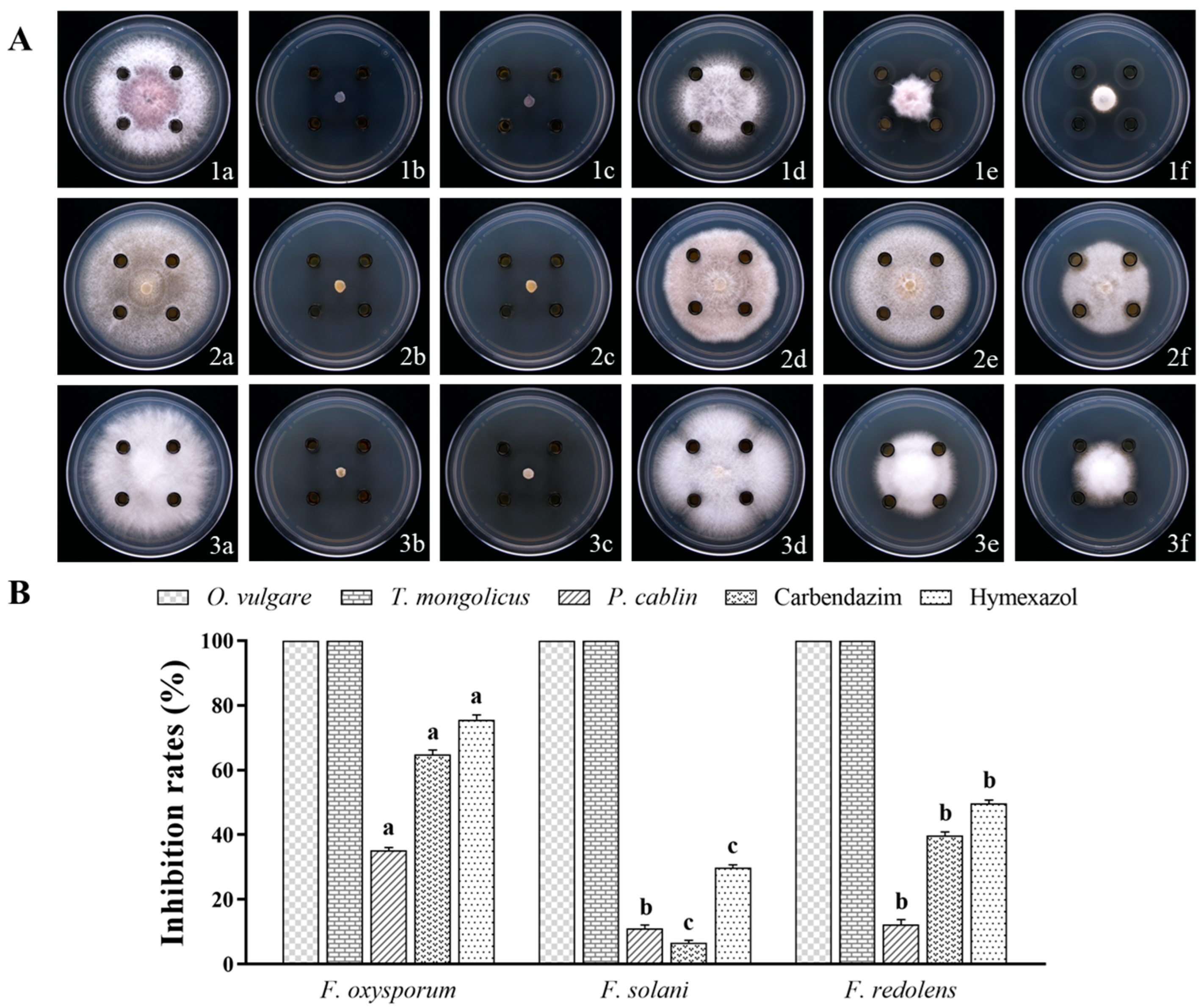 Horticulturae 09 01136 g001