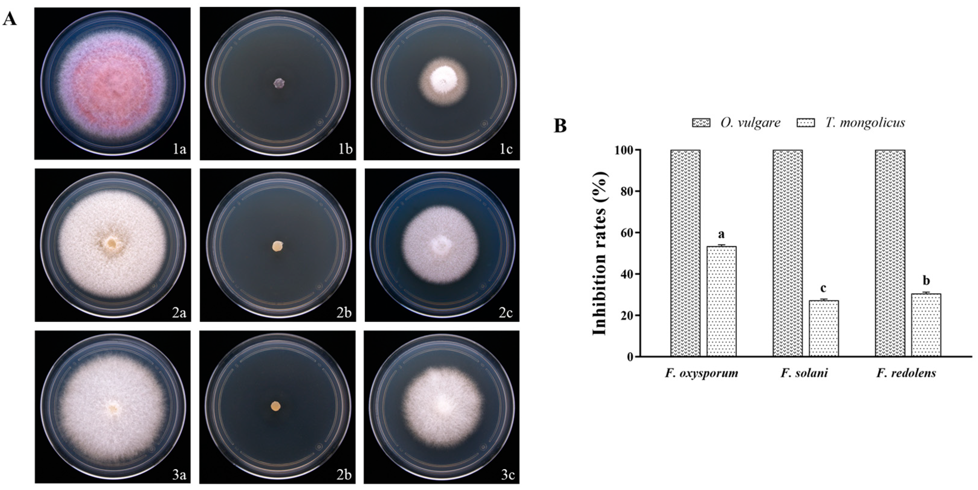Horticulturae 09 01136 g002