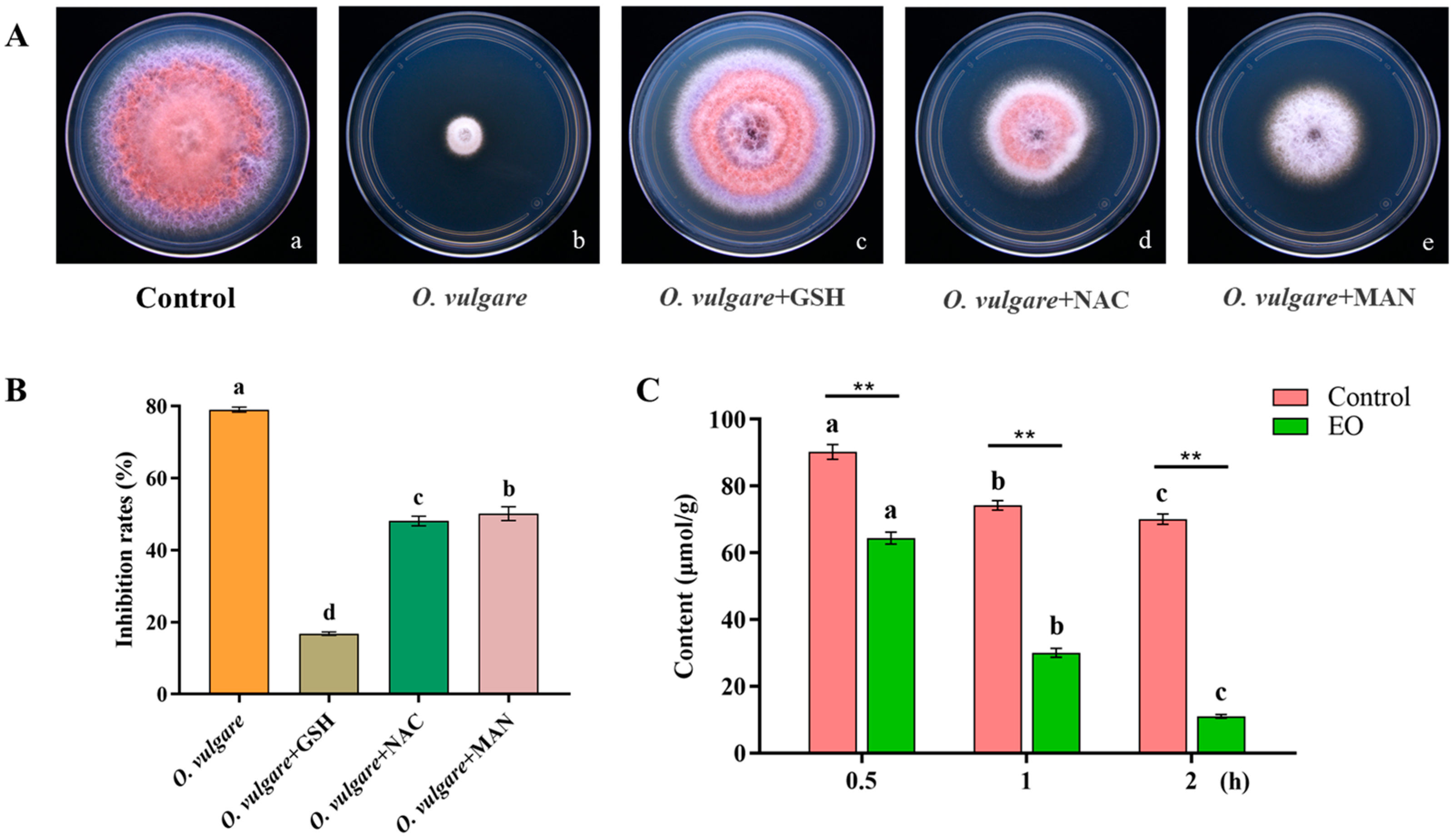 Horticulturae 09 01136 g009