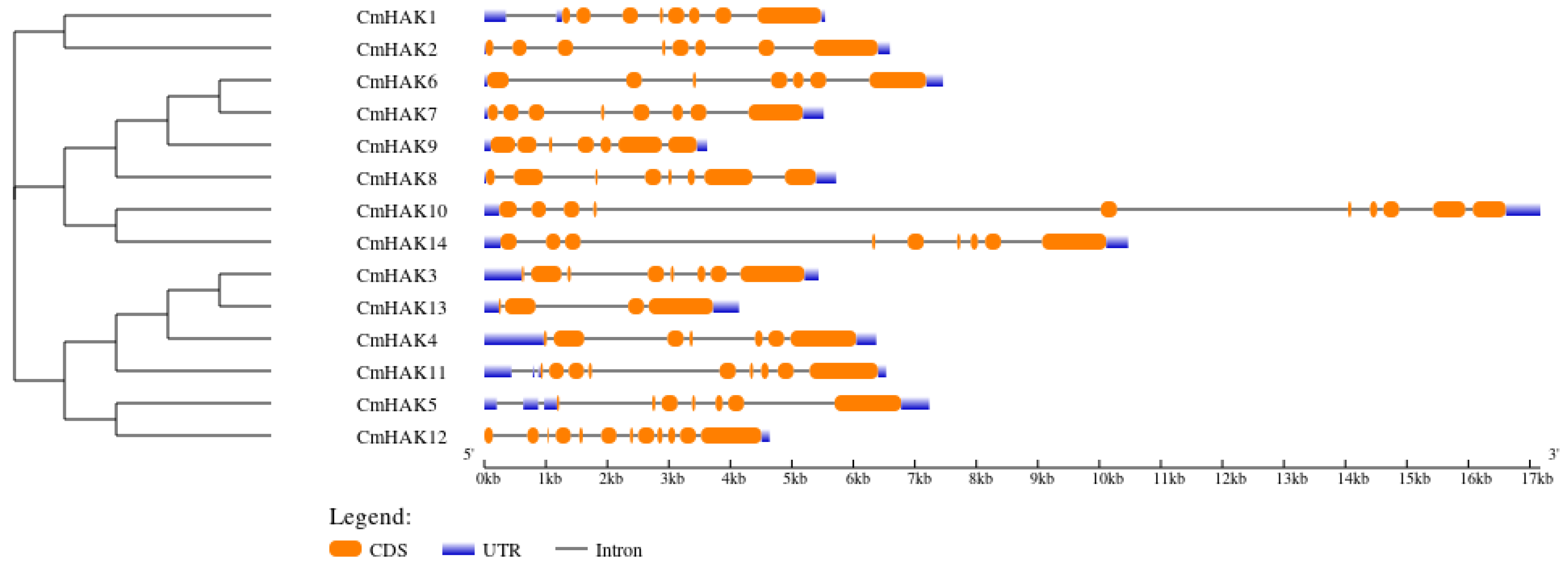Horticulturae 09 01138 g002