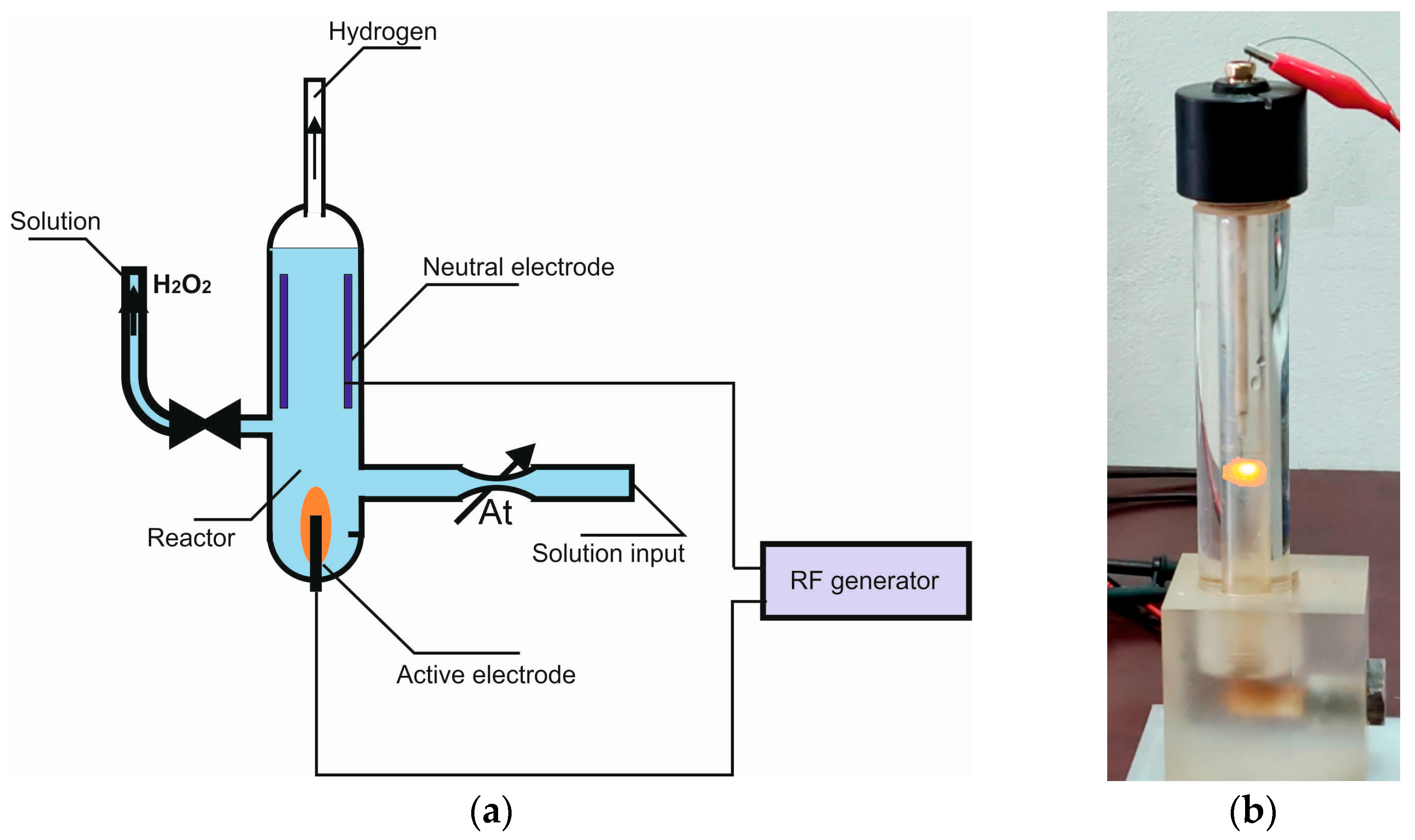 Horticulturae 09 01142 g001