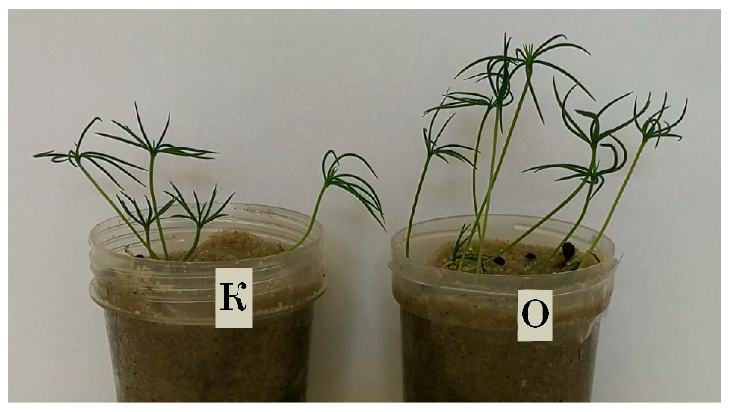 Horticulturae 09 01142 g004