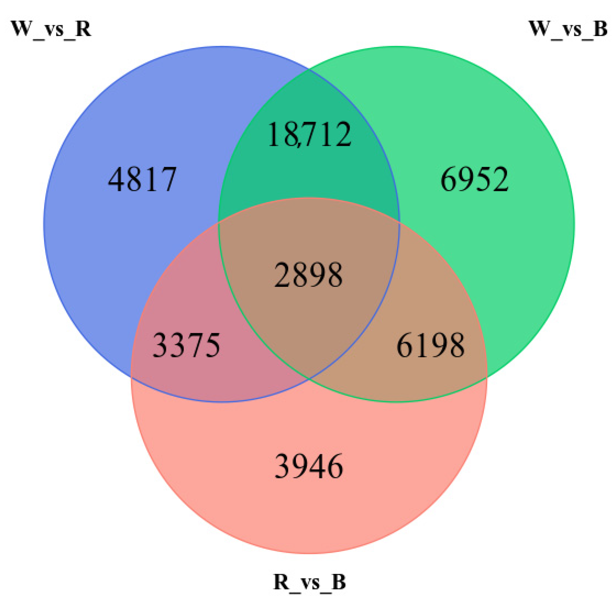 Horticulturae Free Full Text Physiological Transcriptomic and