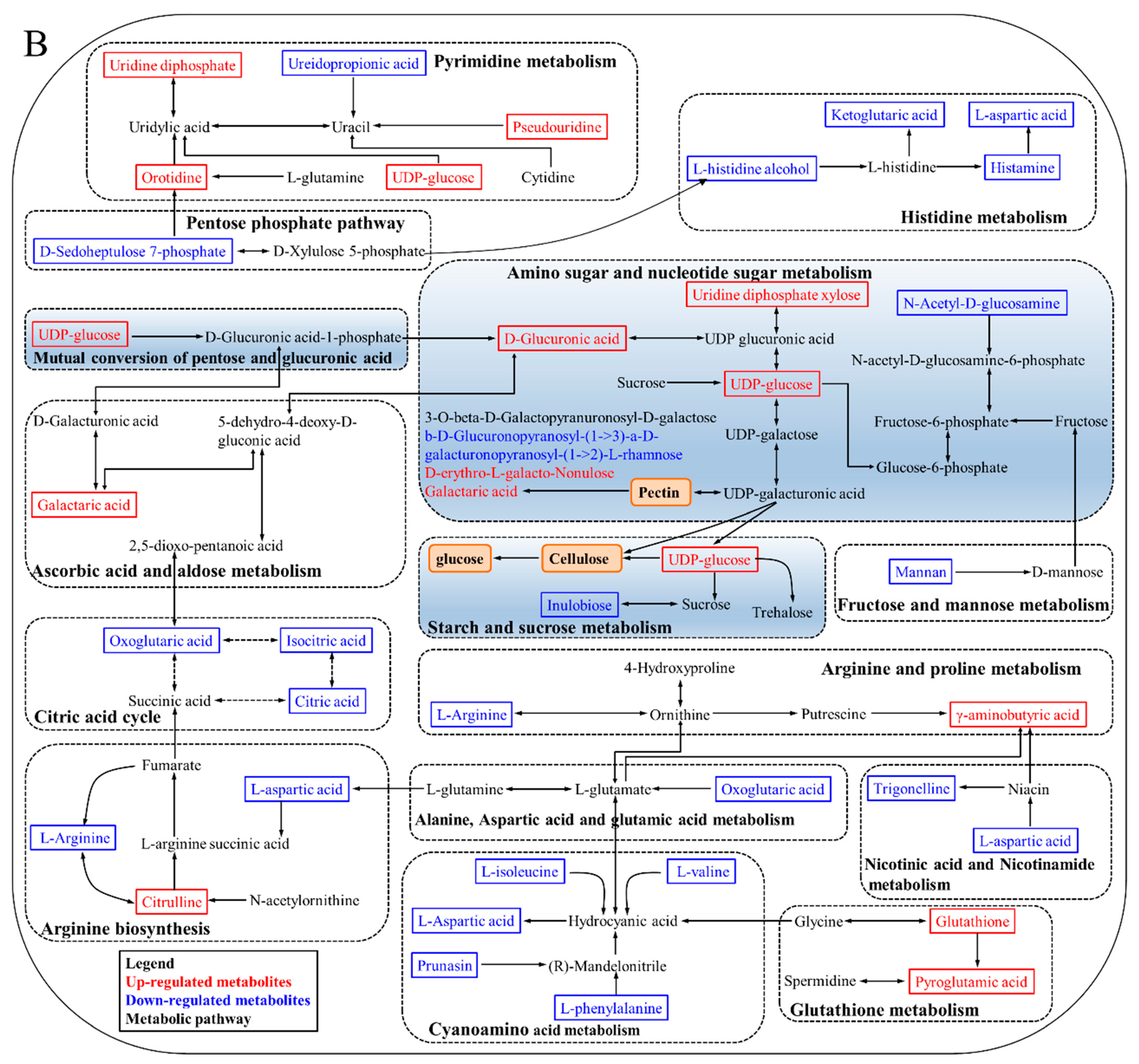 Horticulturae 09 01210 g007b