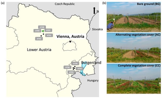 Contamination of vineyard soils with fungicides: A review of