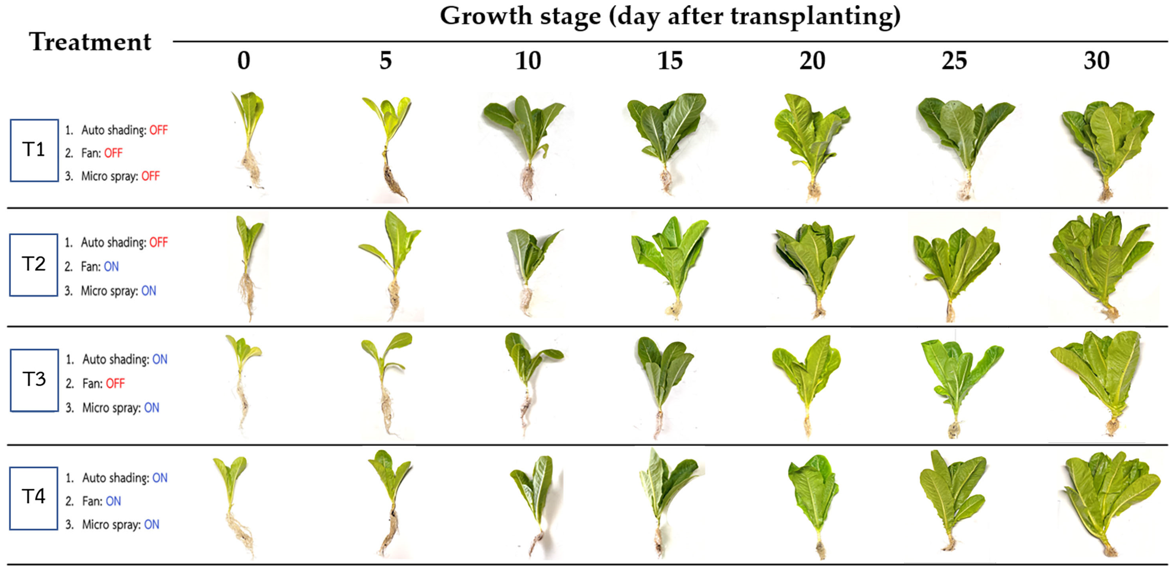 Horticulturae 09 01255 g003 Horticulturae 09 01255 g003