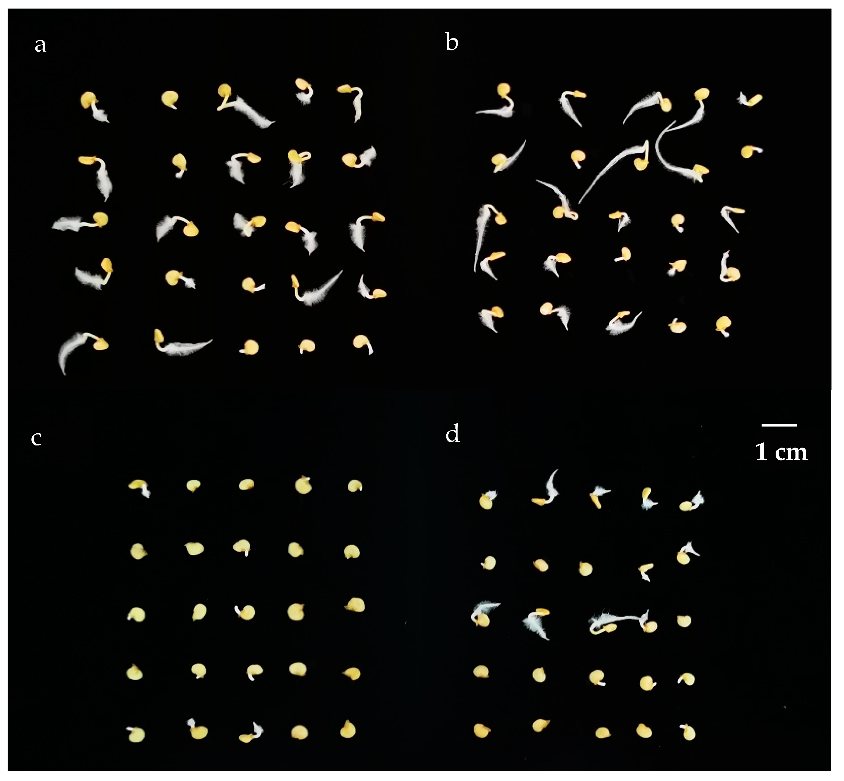 Horticulturae 09 01267 g002