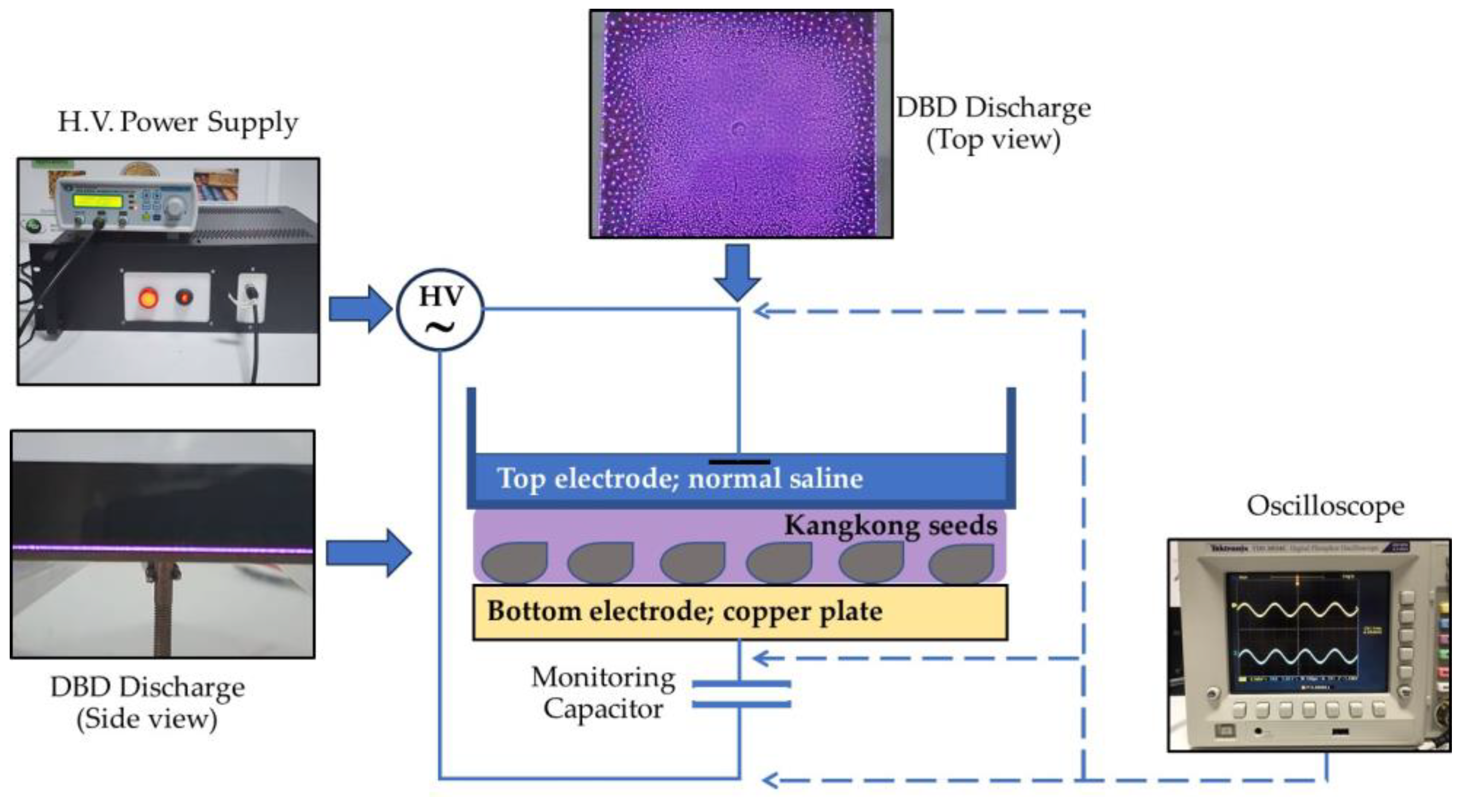 Horticulturae 09 01269 g001