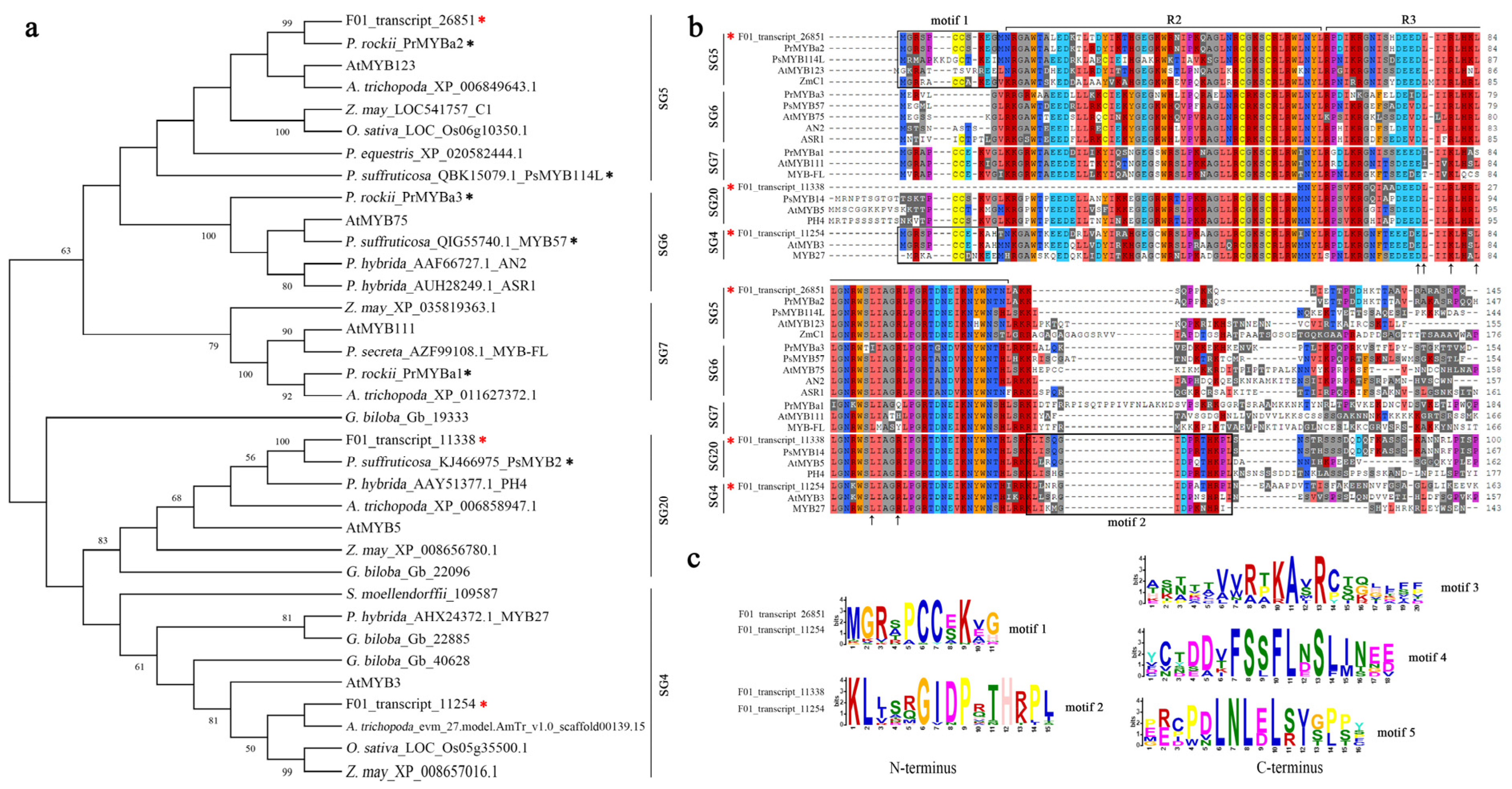 Horticulturae 09 01295 g005