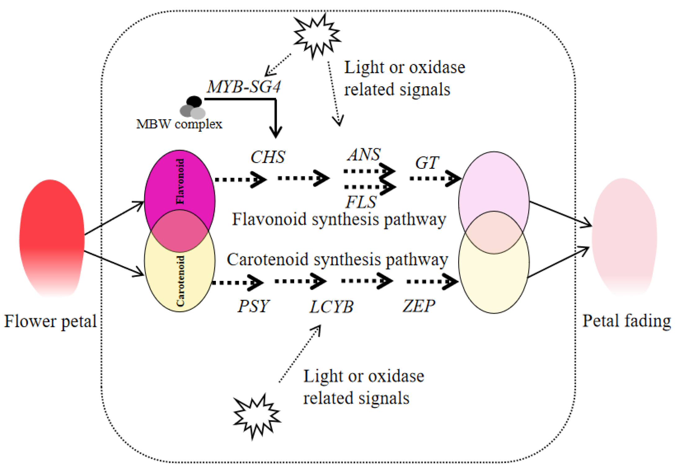 Horticulturae 09 01295 g007