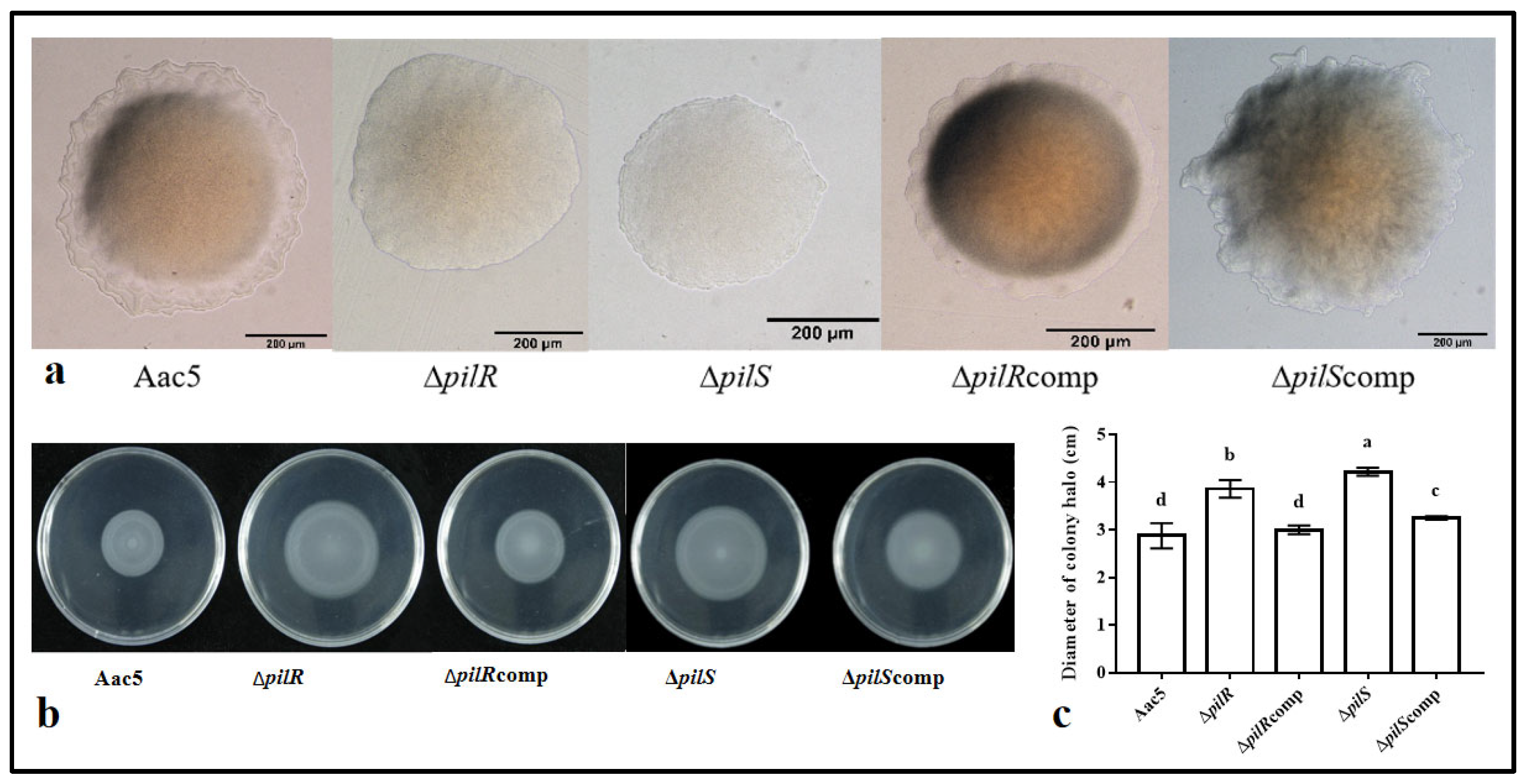 Horticulturae 09 01296 g002