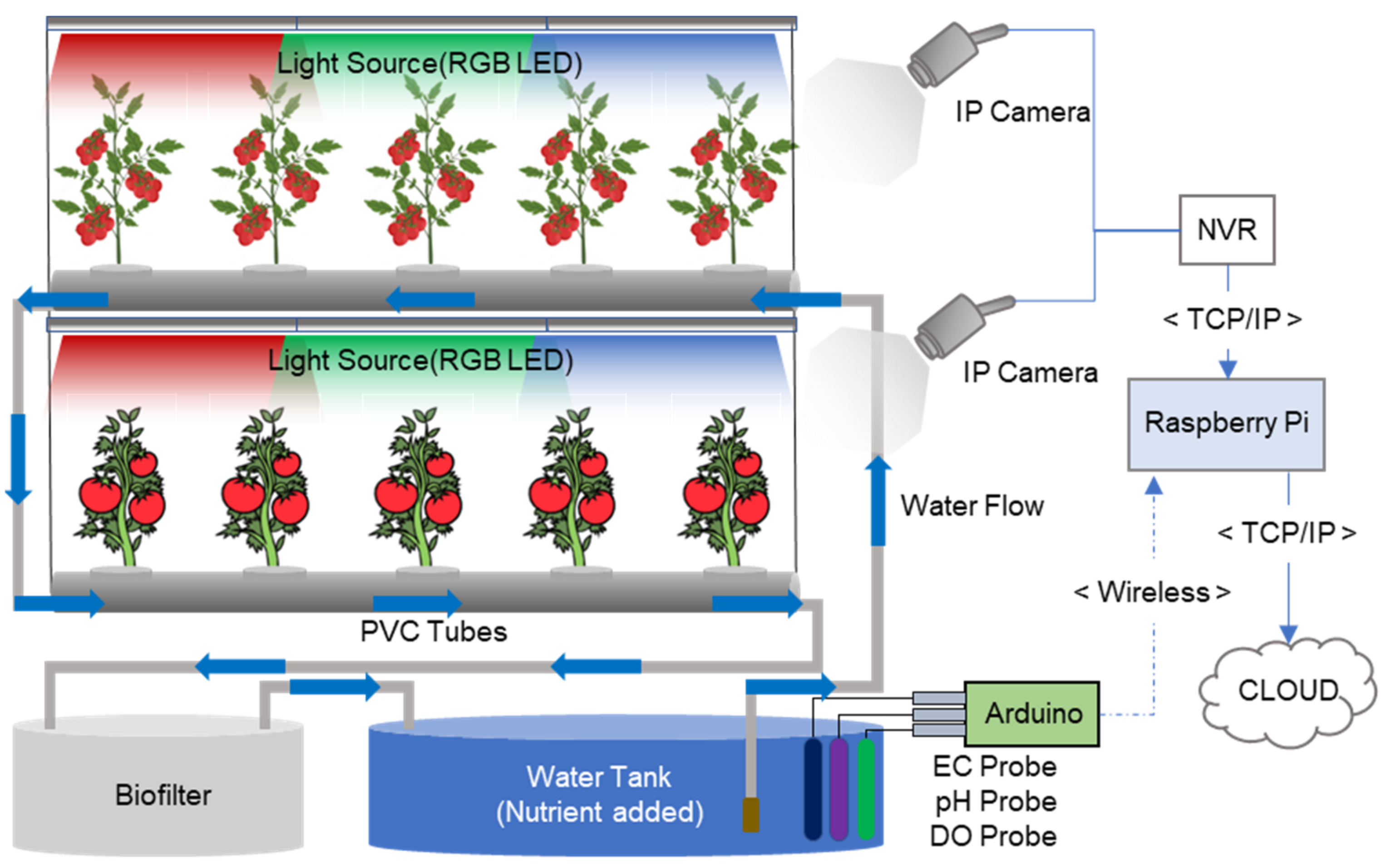 Horticulturae 09 01318 g001
