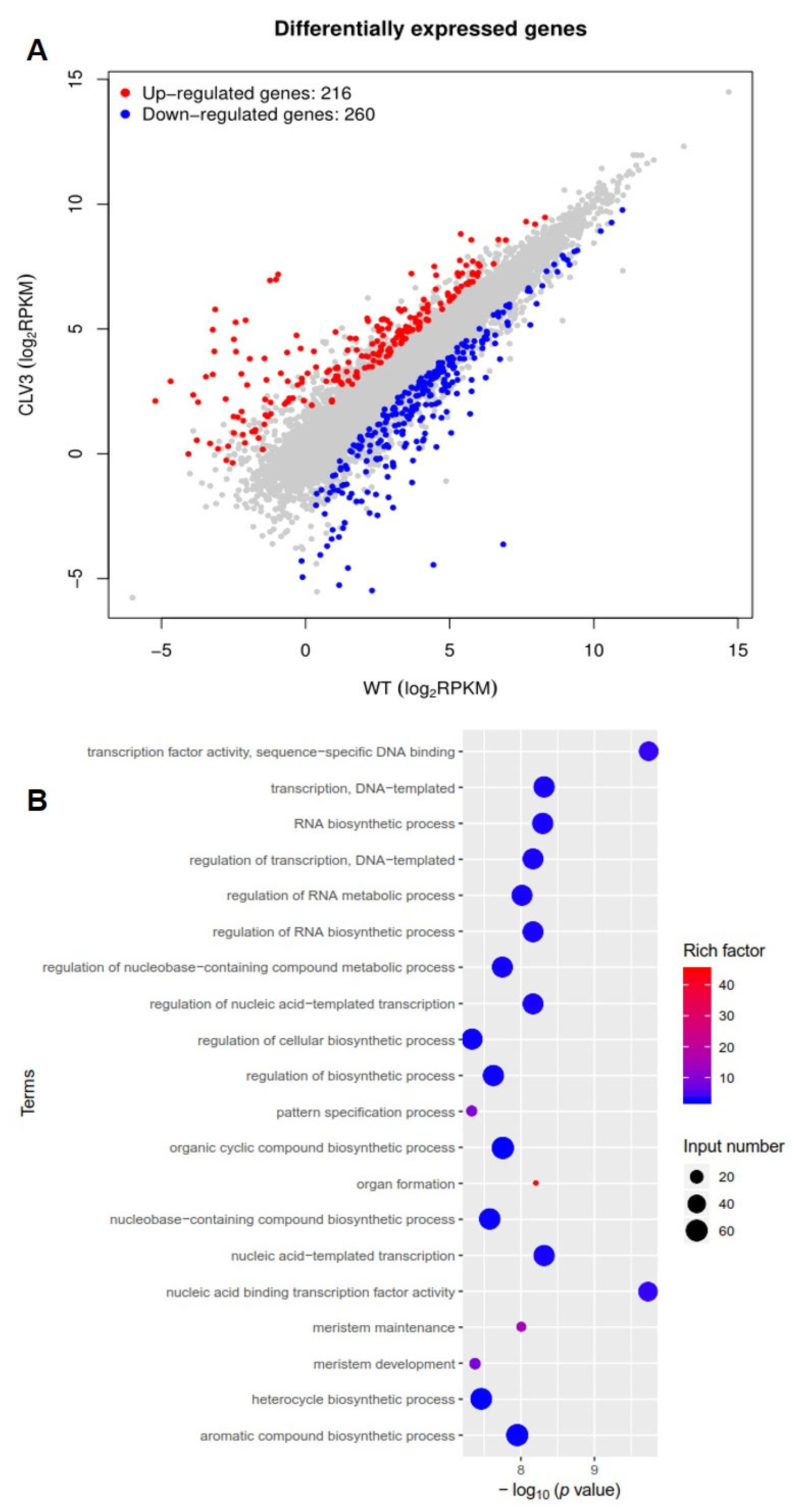 Horticulturae 10 00011 g003
