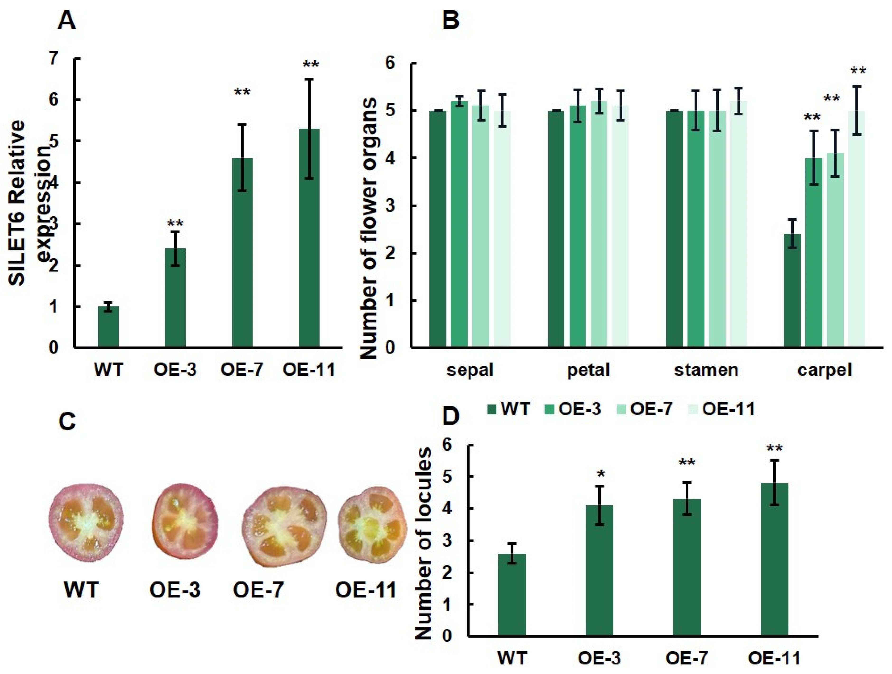 Horticulturae 10 00011 g008