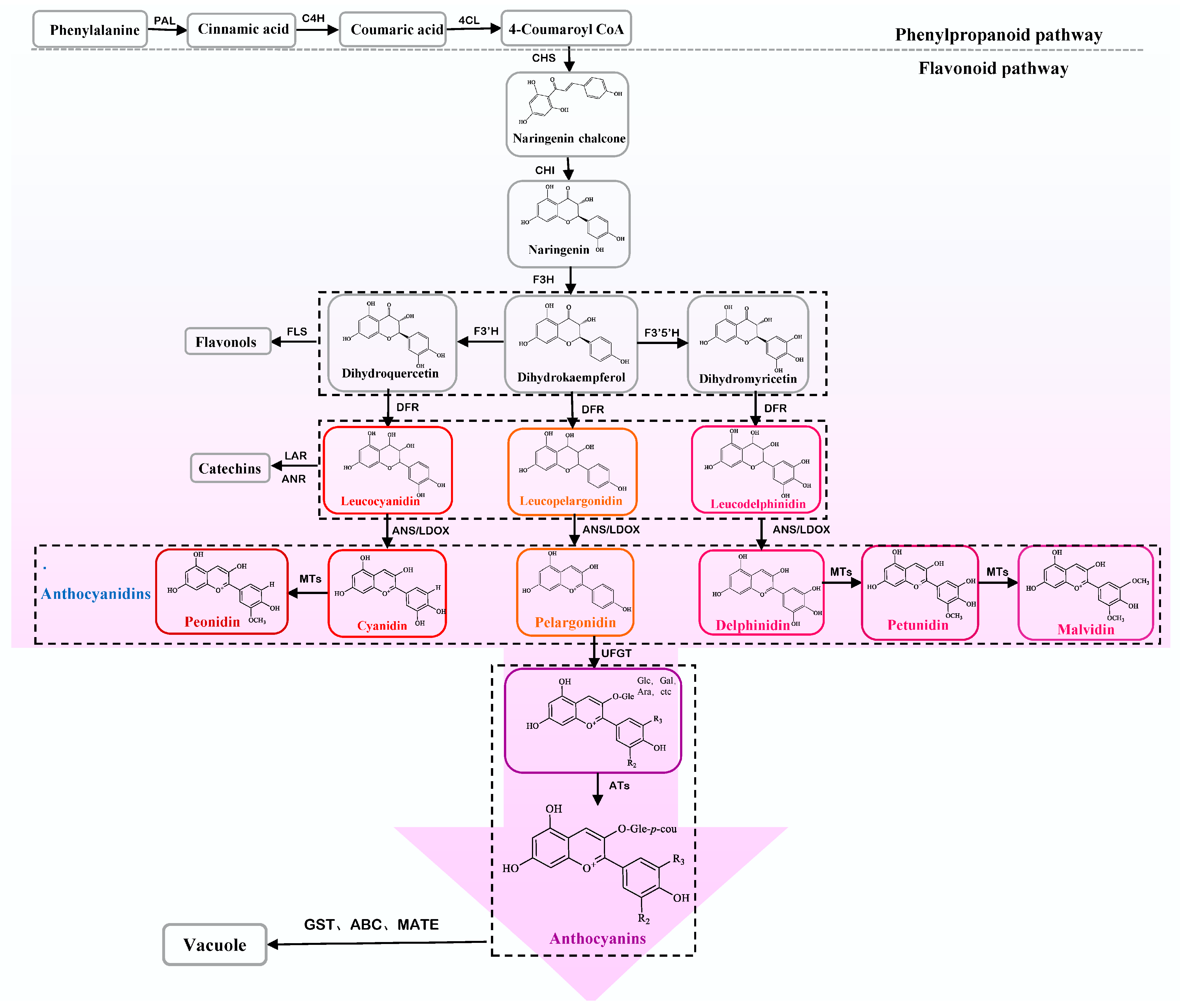 Horticulturae 10 00050 g001 Horticulturae 10 00050 g001