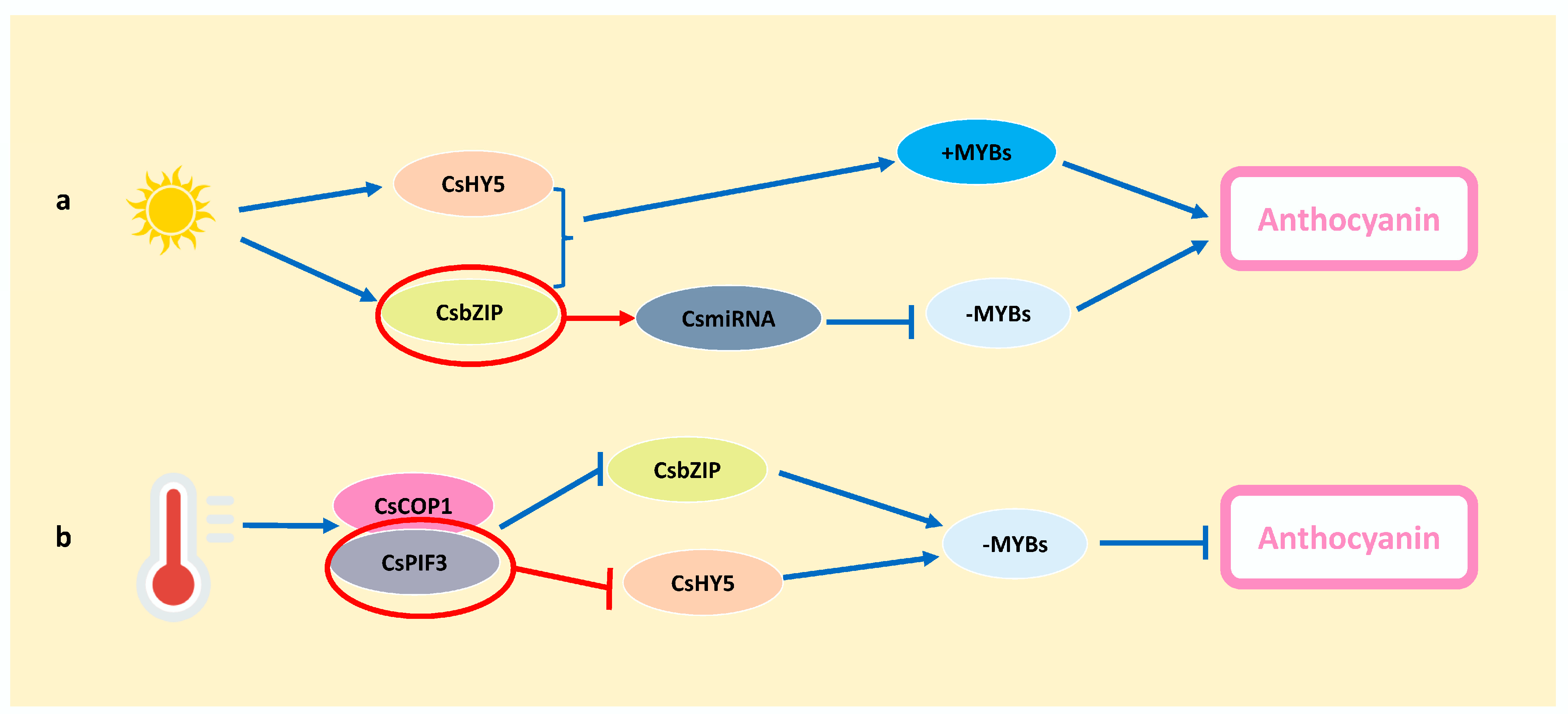 Horticulturae 10 00050 g003 Horticulturae 10 00050 g003