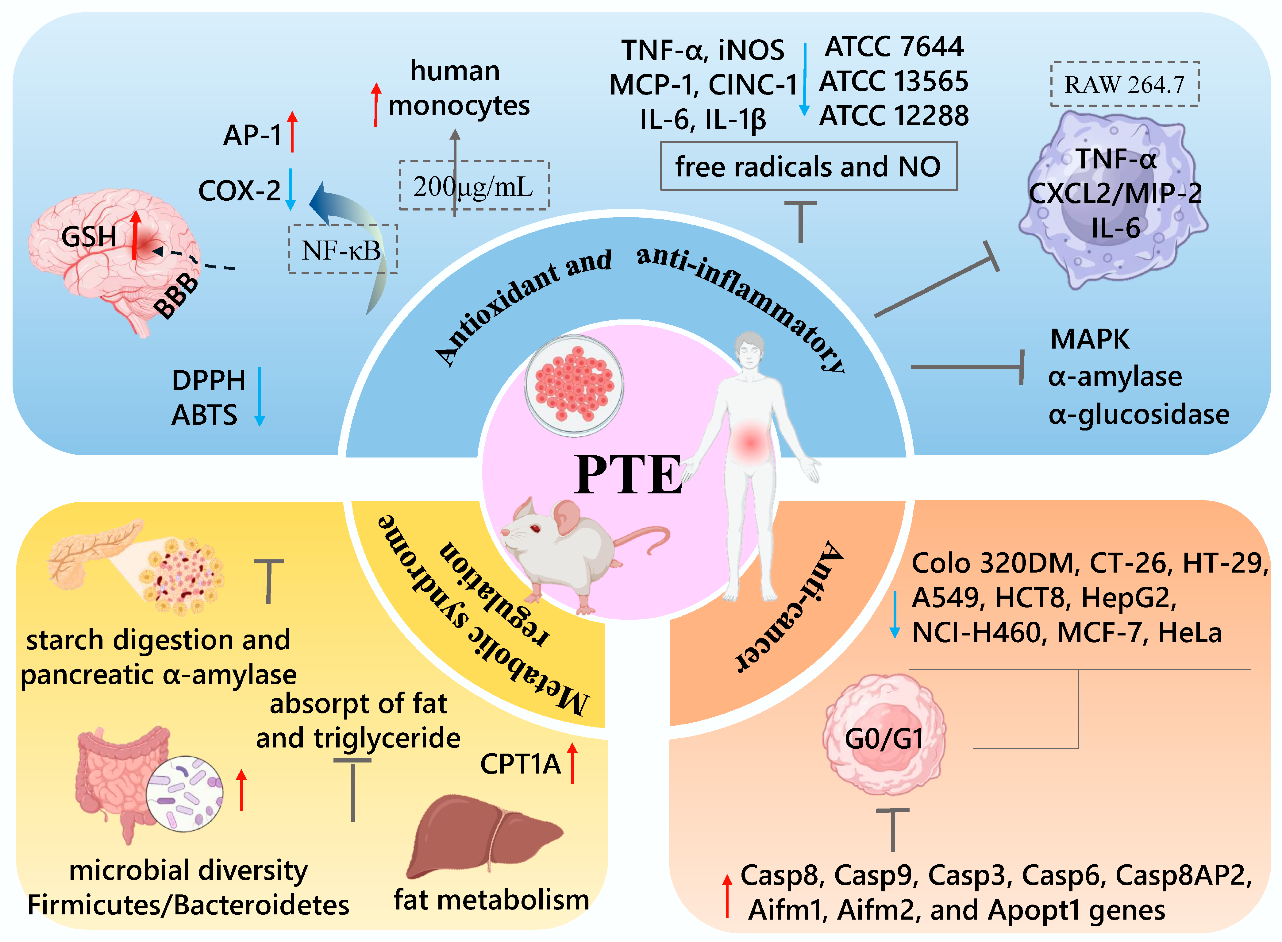 Horticulturae 10 00050 g005 Horticulturae 10 00050 g005