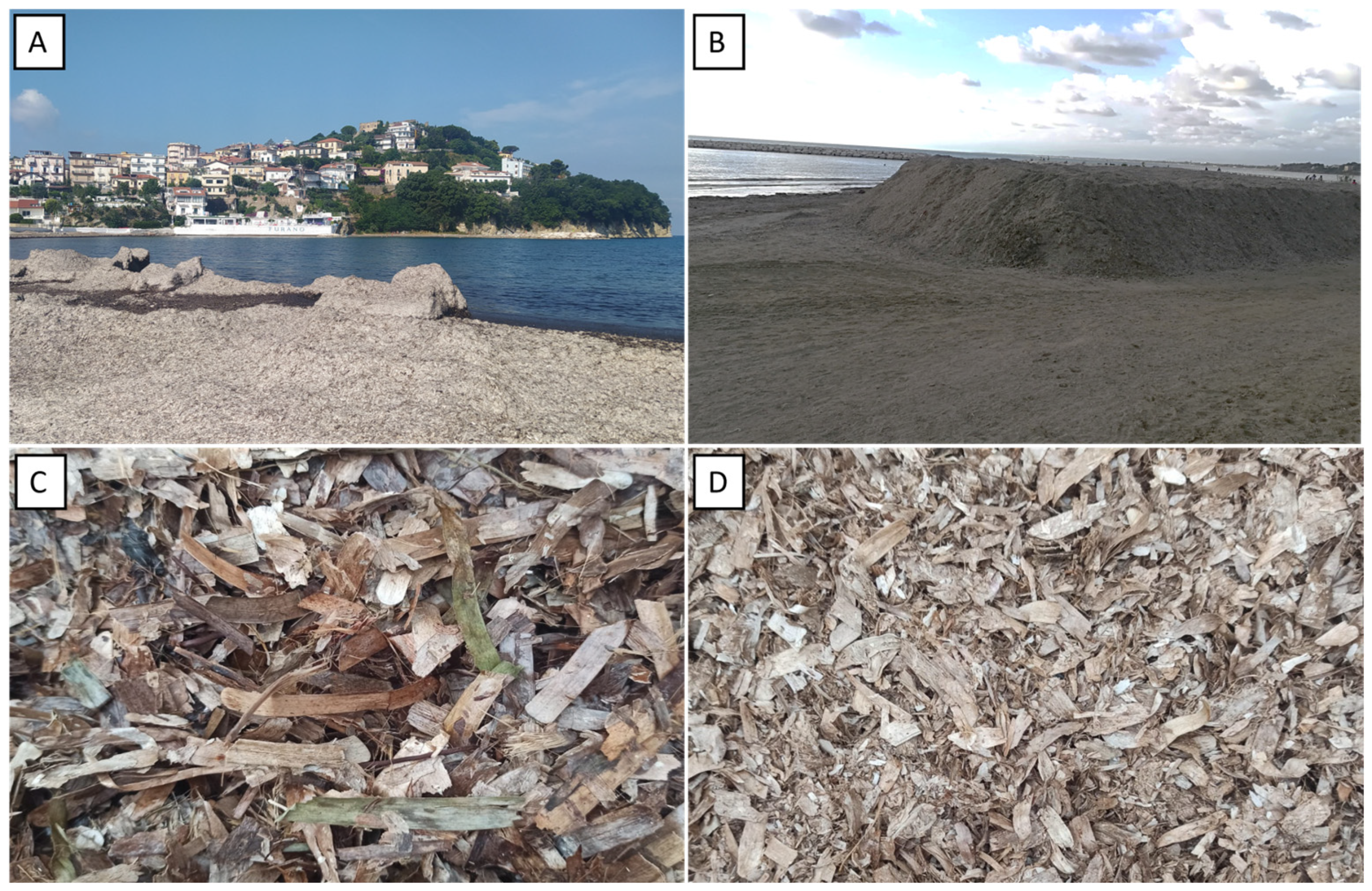 Horticulturae Free Full Text The Decomposition Dynamics and