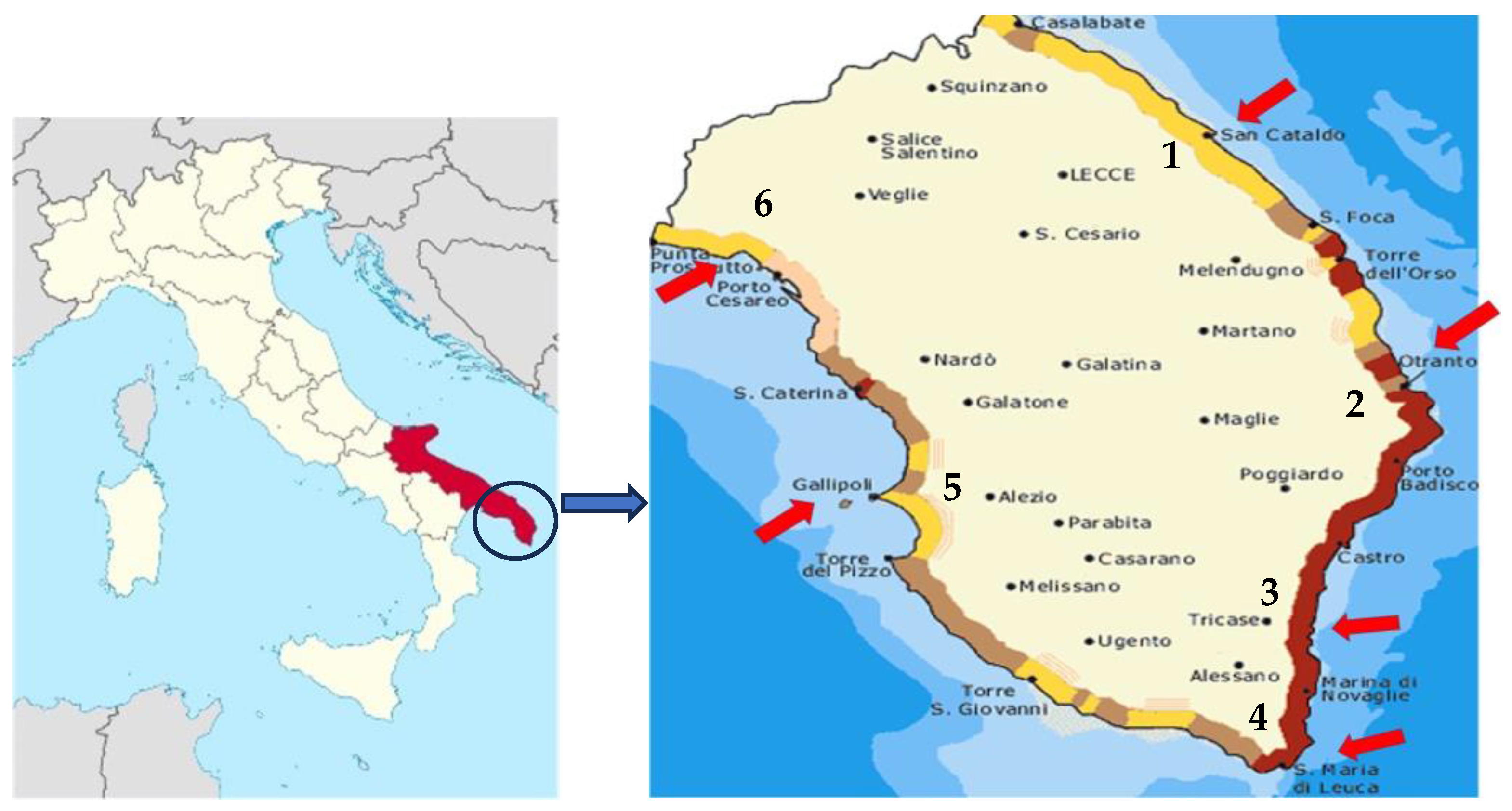 Horticulturae 10 00081 g001