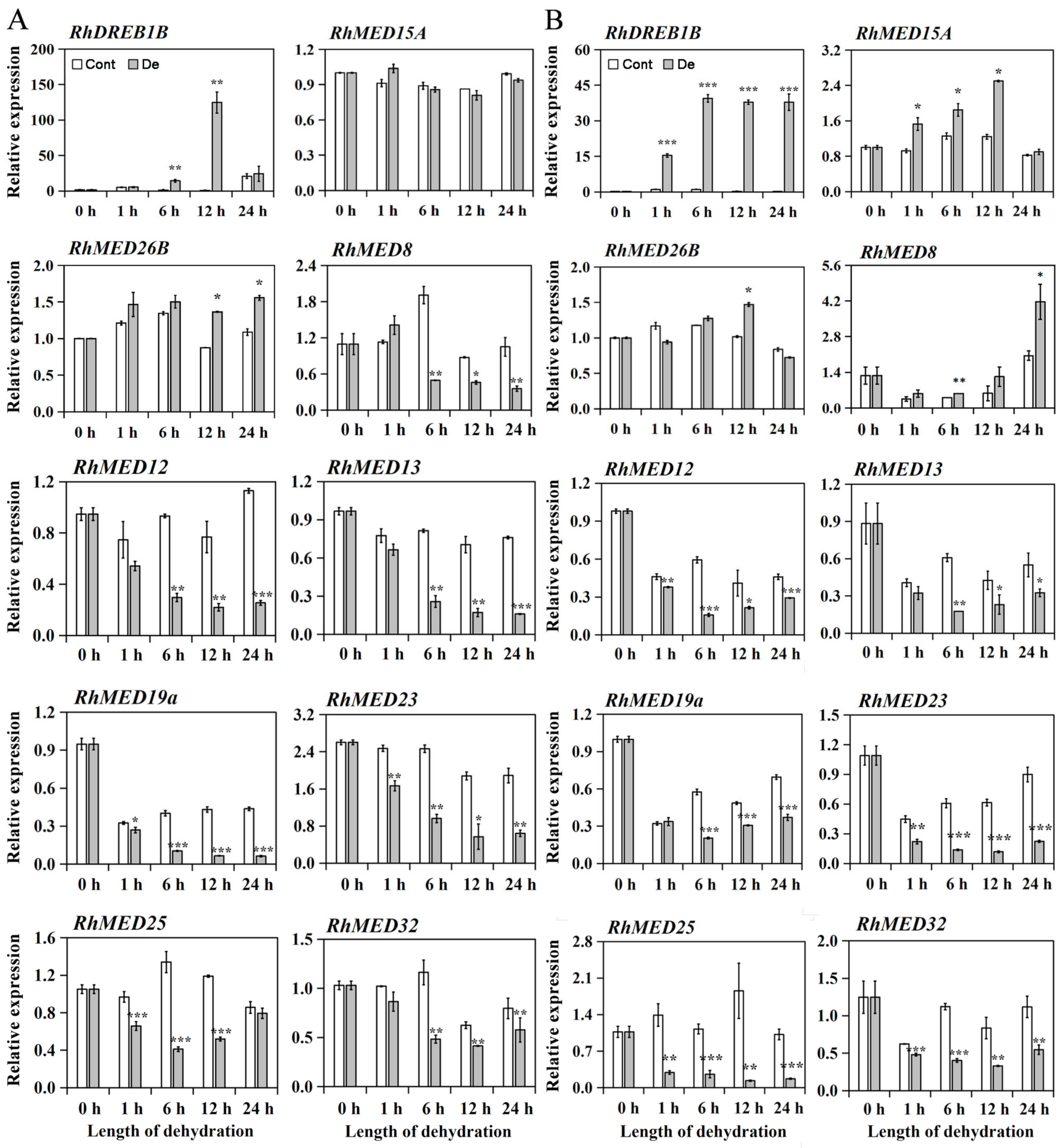 Horticulturae 10 00084 g001