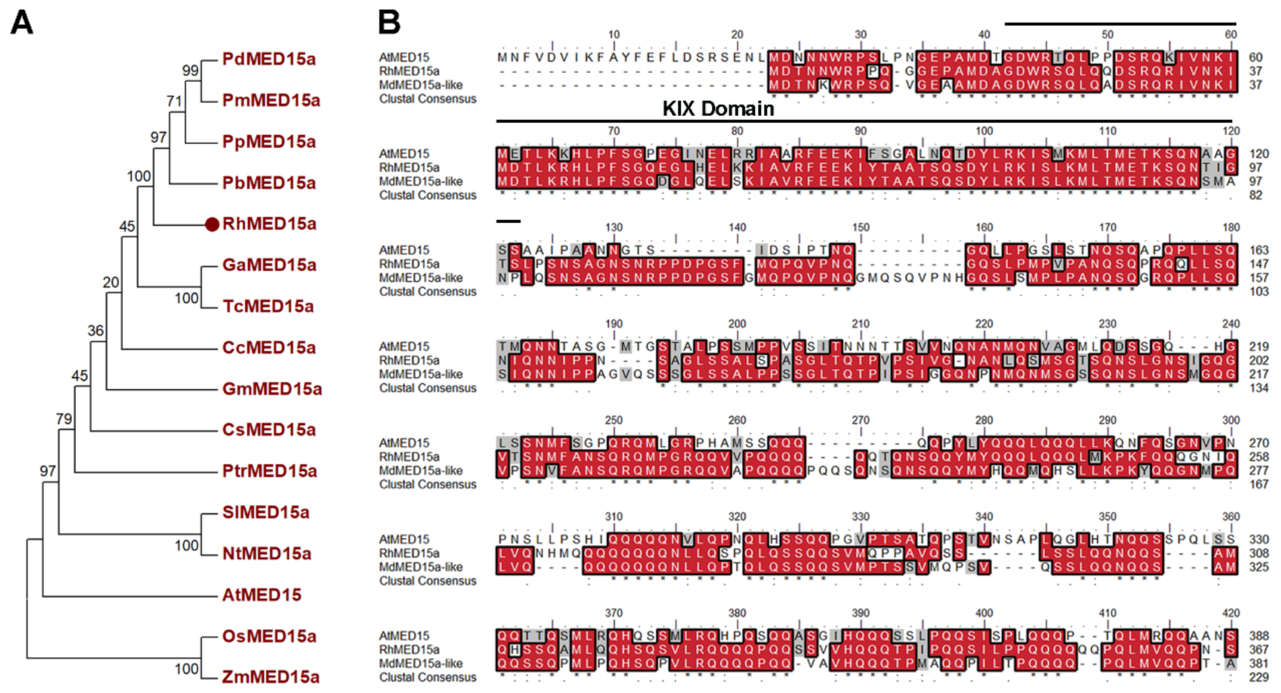Horticulturae 10 00084 g002