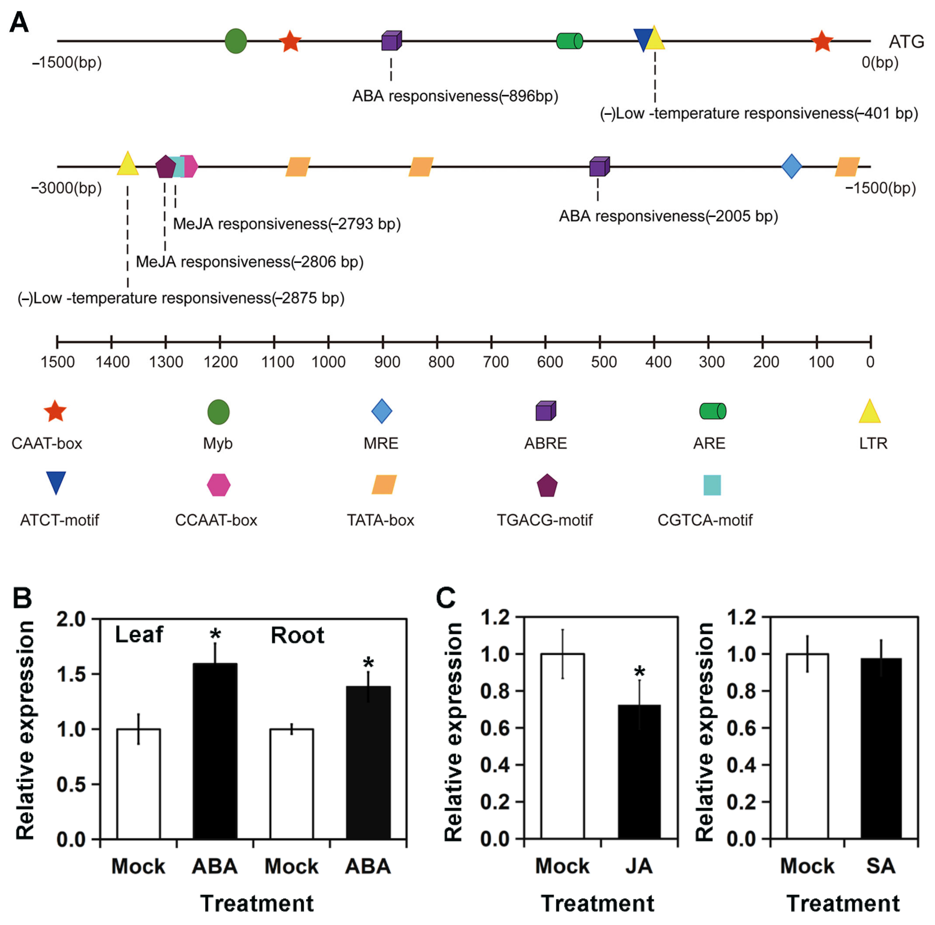 Horticulturae 10 00084 g003