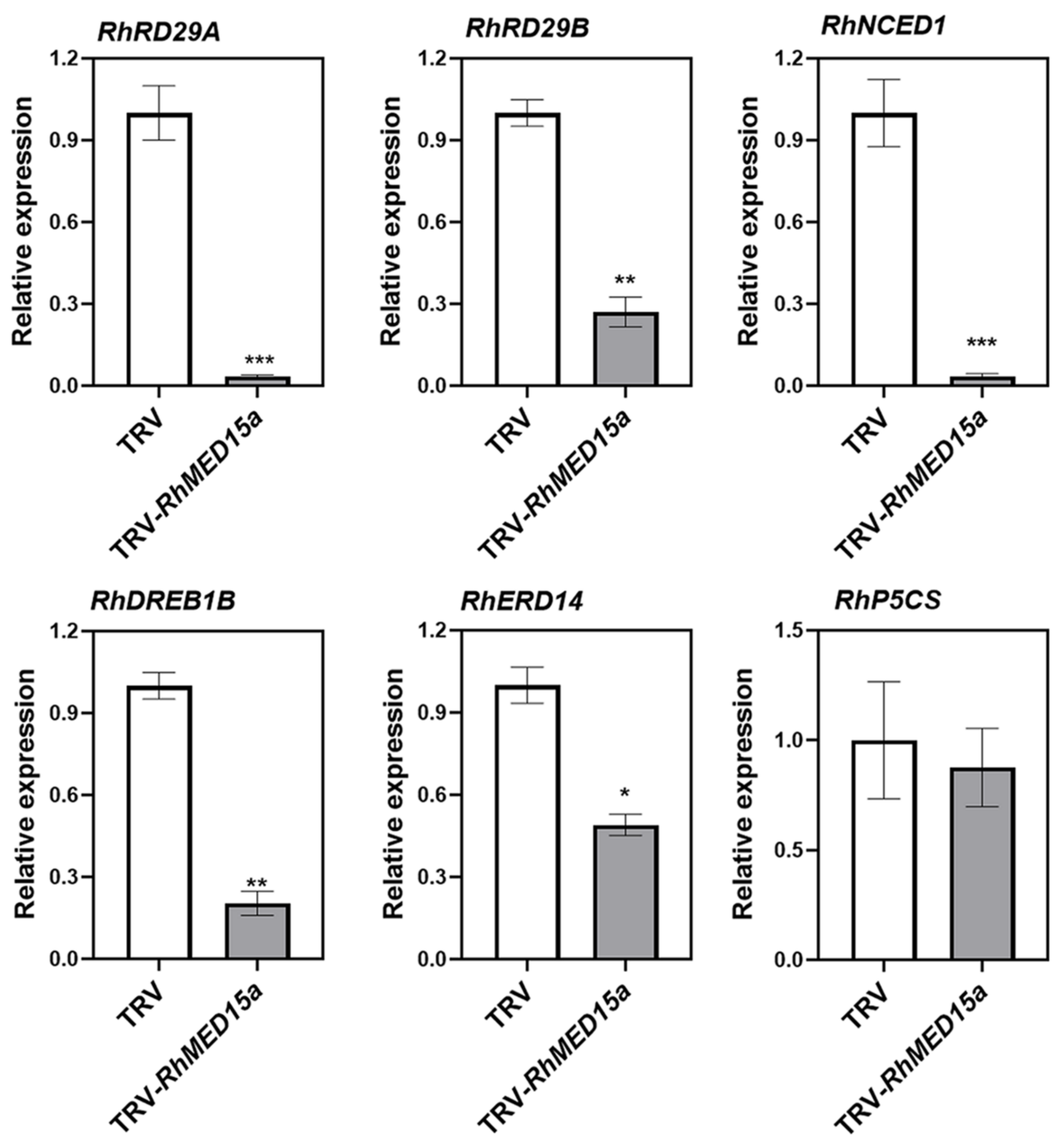Horticulturae 10 00084 g006